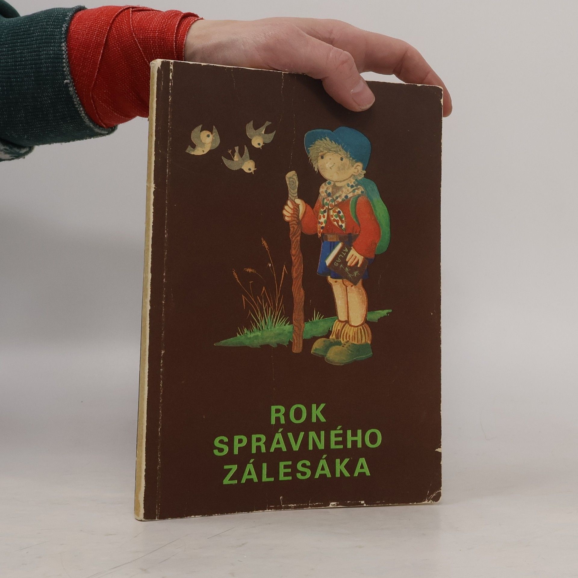 Autorenkollektiv Rok správného zálesáka