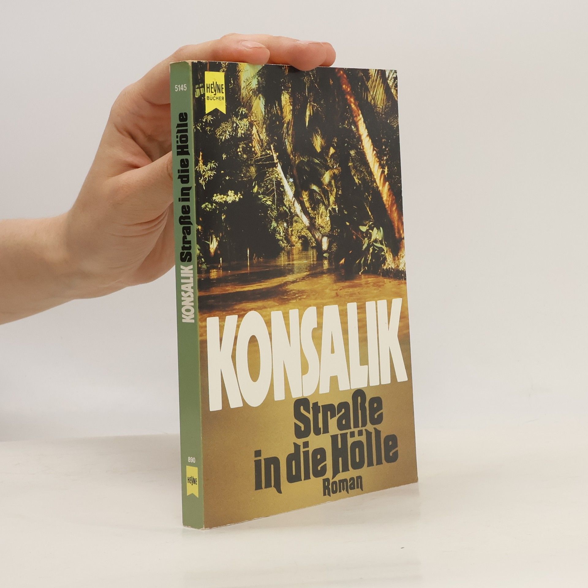 Heinz G. Konsalik Straße in die Hölle