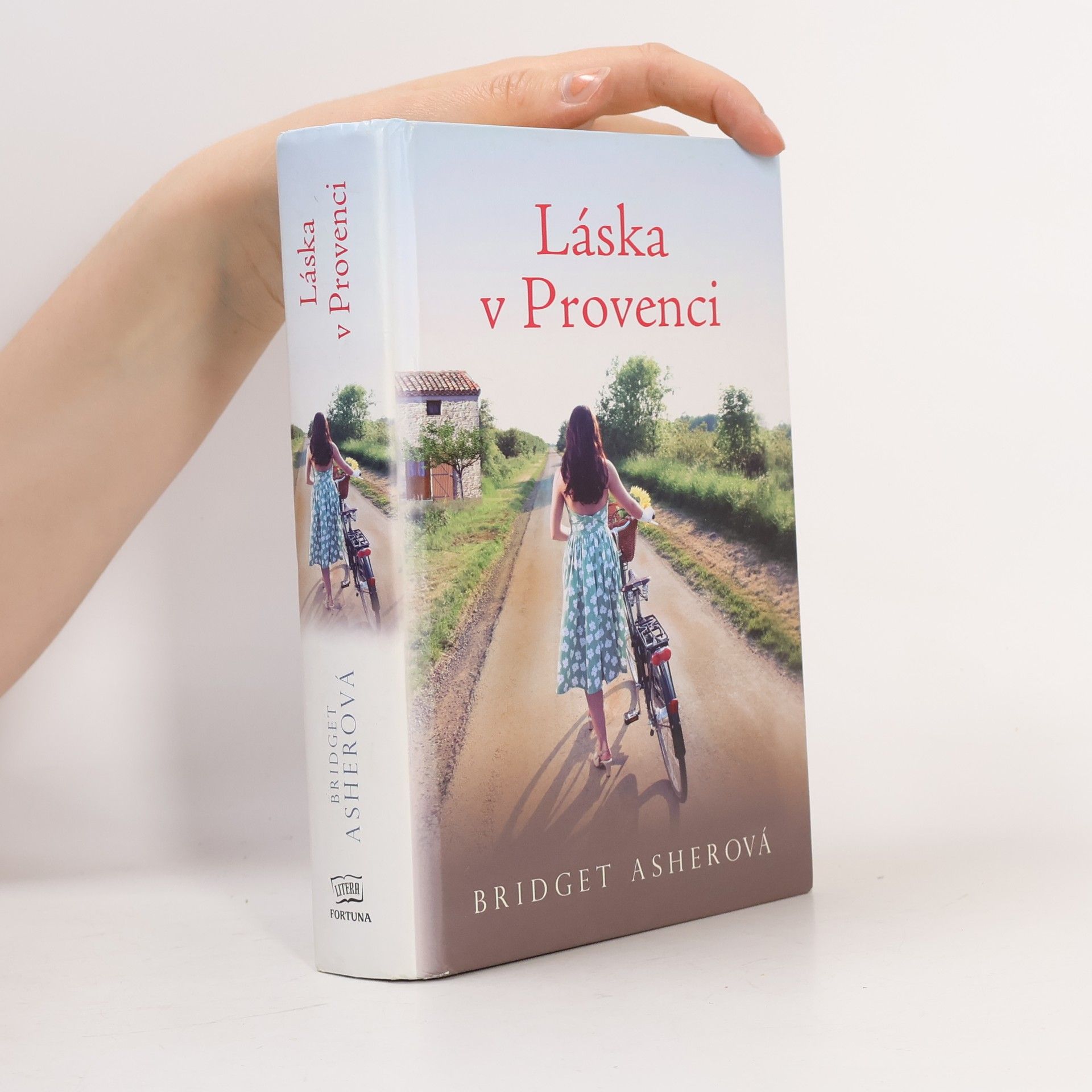 Bridget Asher Láska v Provenci