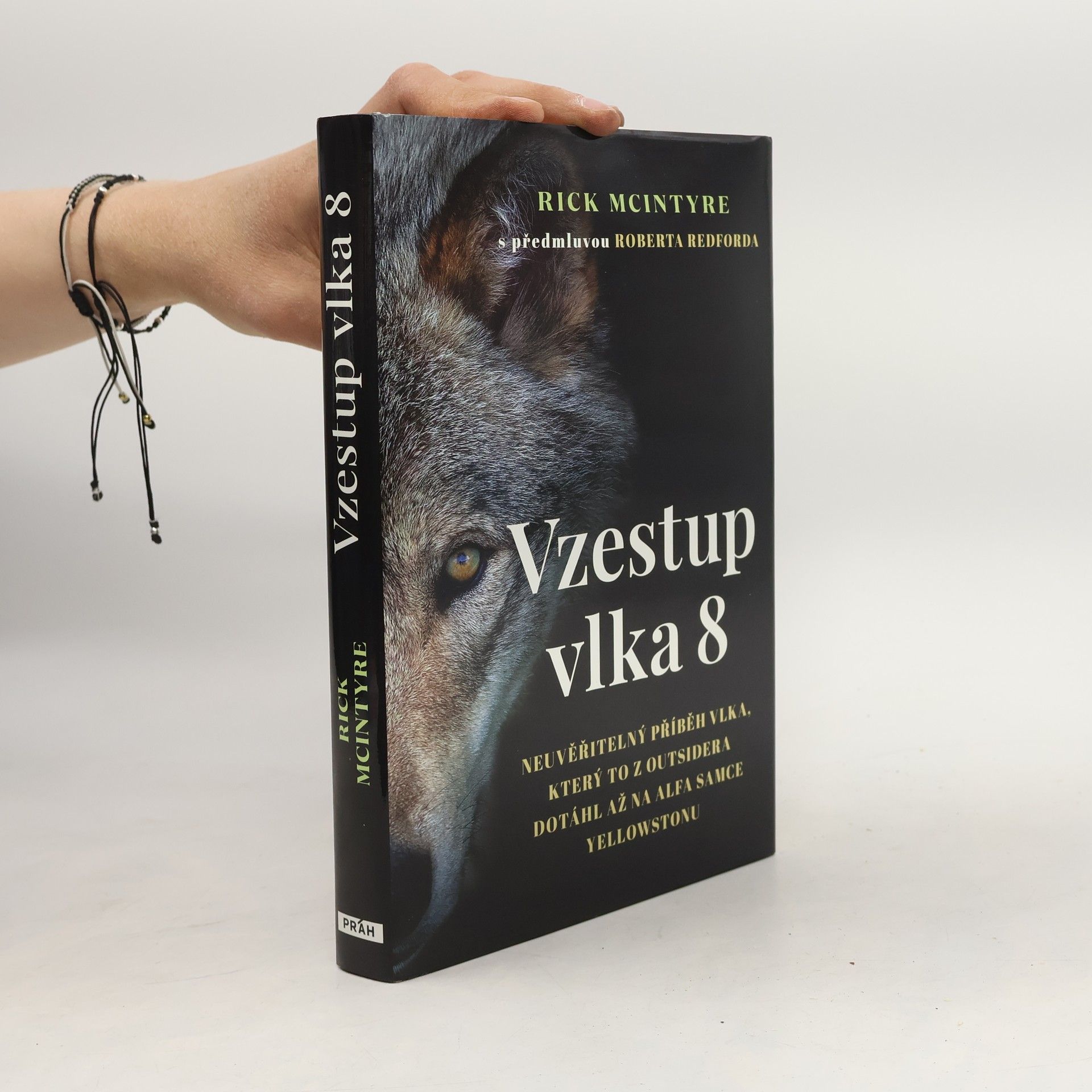 Rick McIntyre Vzestup vlka 8