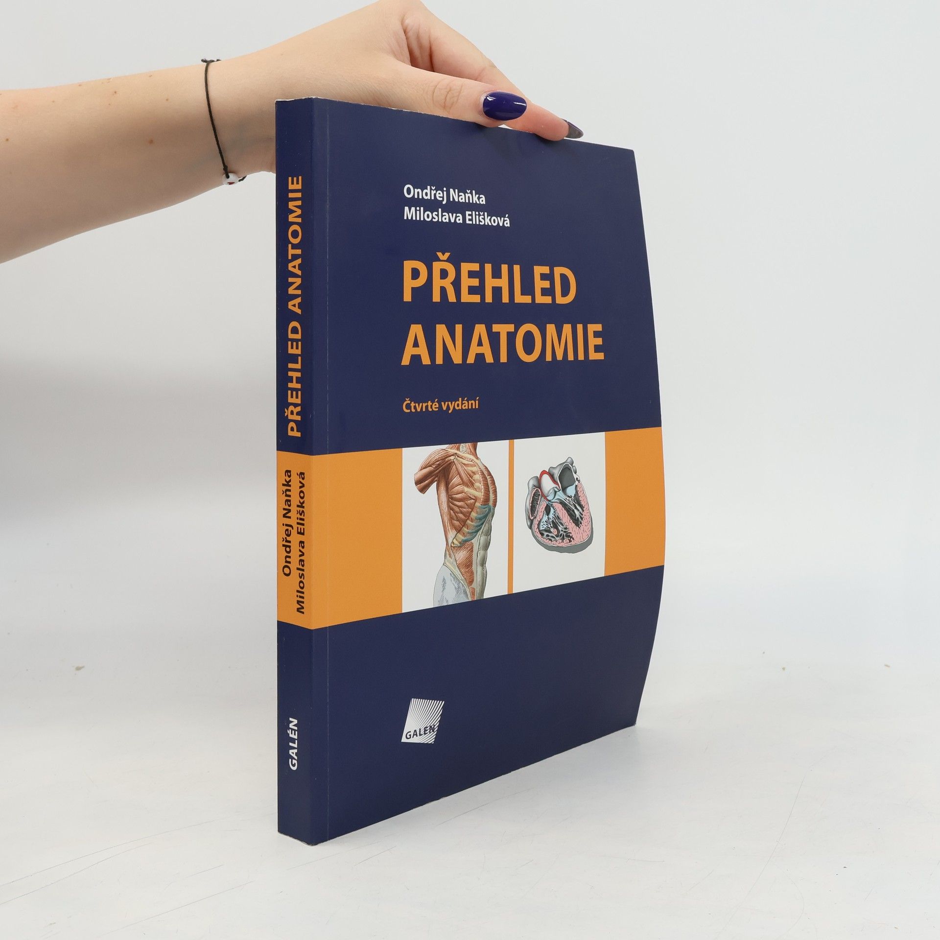 Ondřej Naňka Přehled anatomie