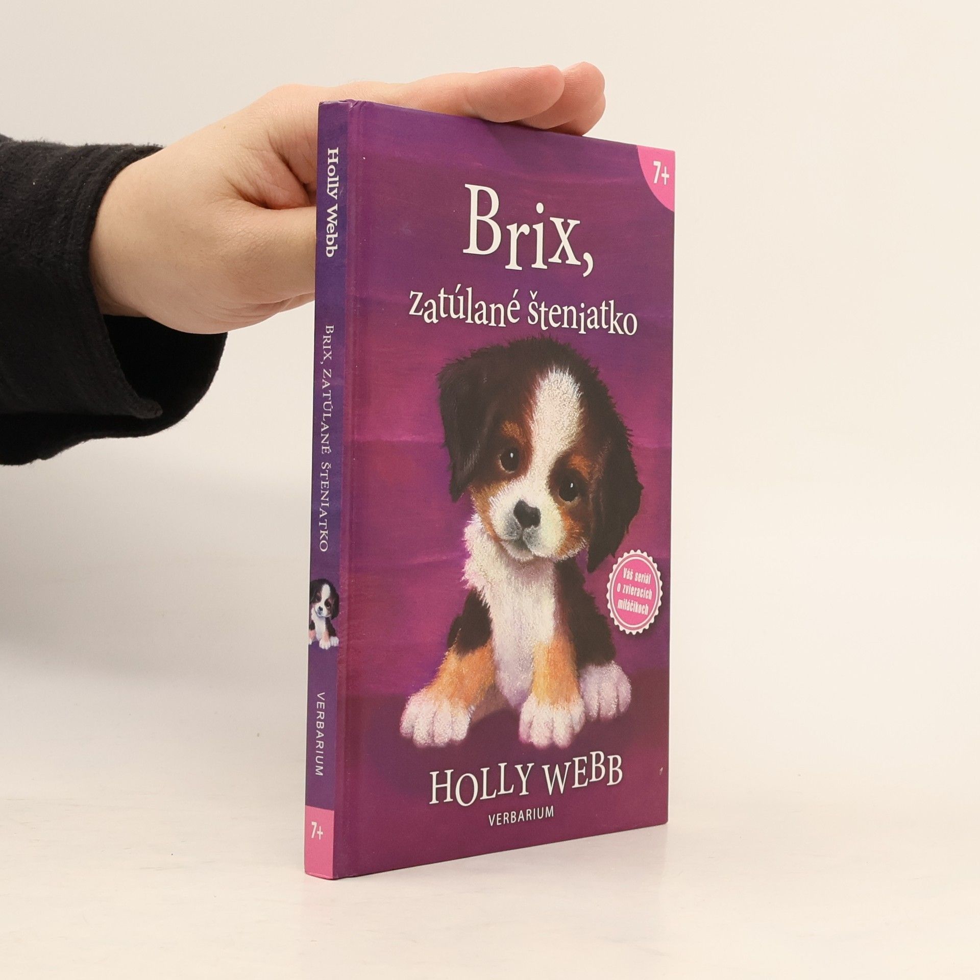 Brix, zatúlané šteniatko