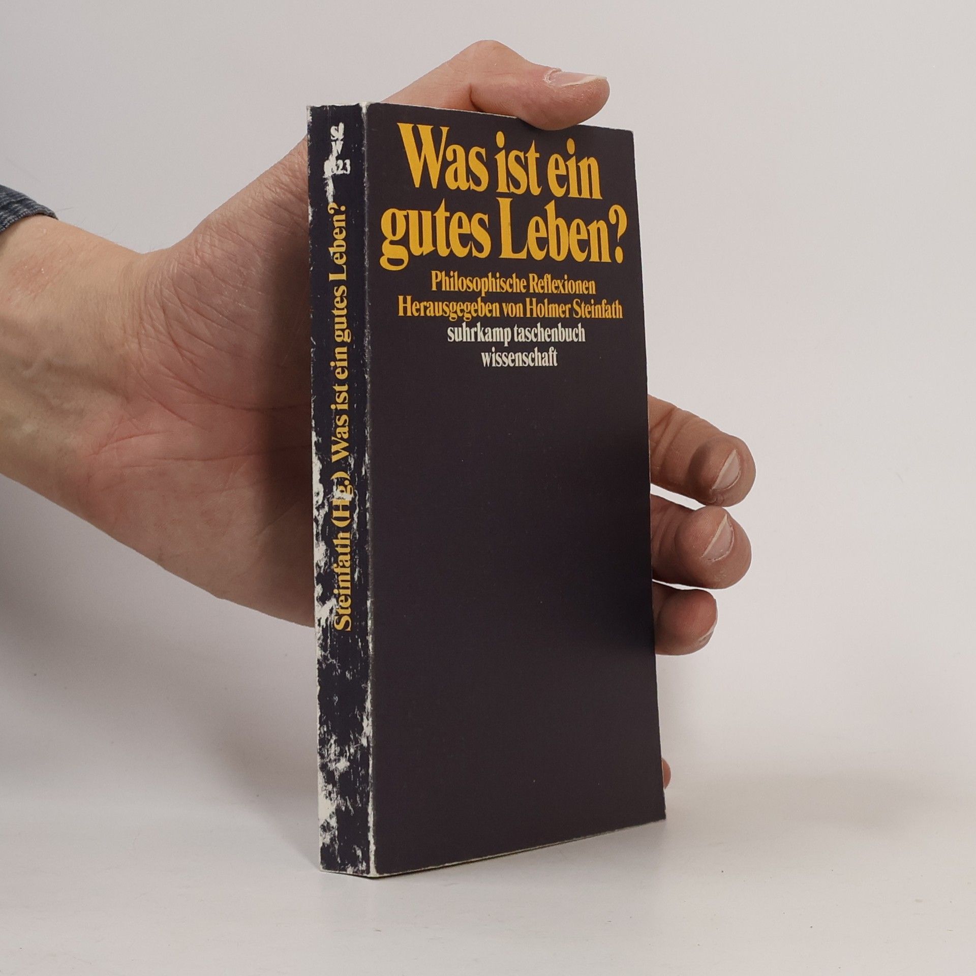 Holmer Steinfath Suhrkamp Taschenbuch Wissenschaft - 23: Was ist ein gutes Leben?