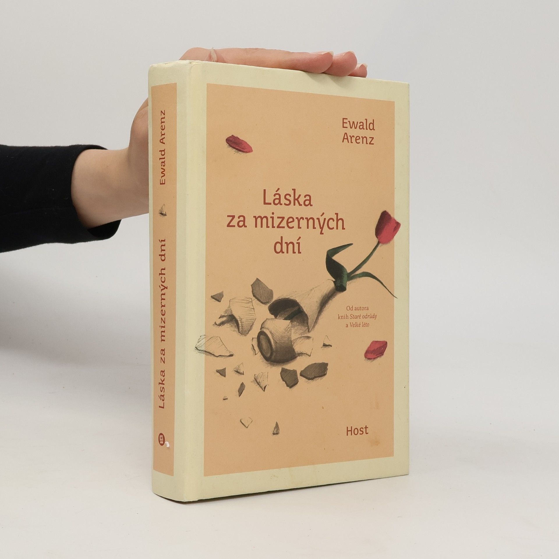 Ewald Arenz Láska za mizerných dní