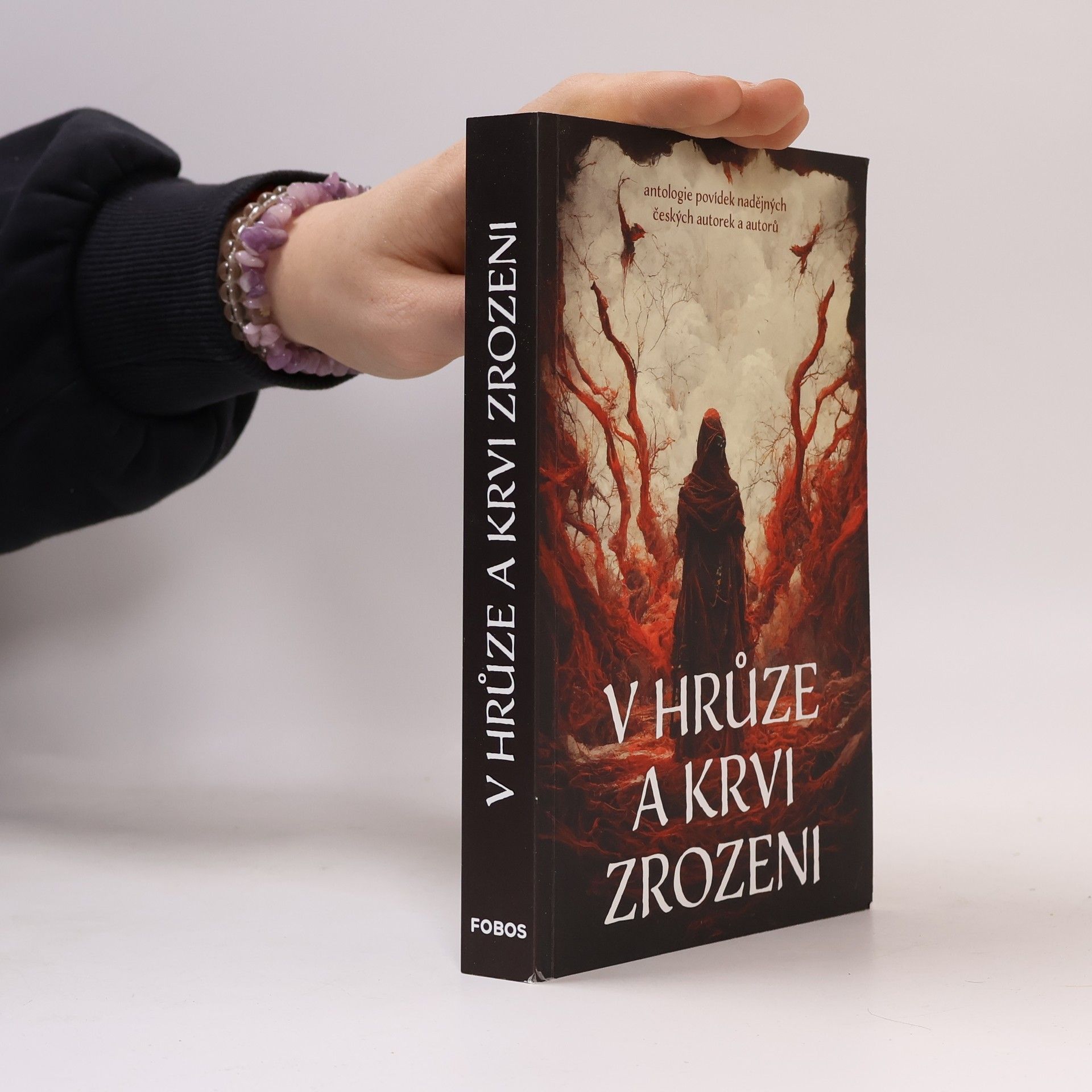 Autorenkollektiv V hrůze a krvi zrozeni