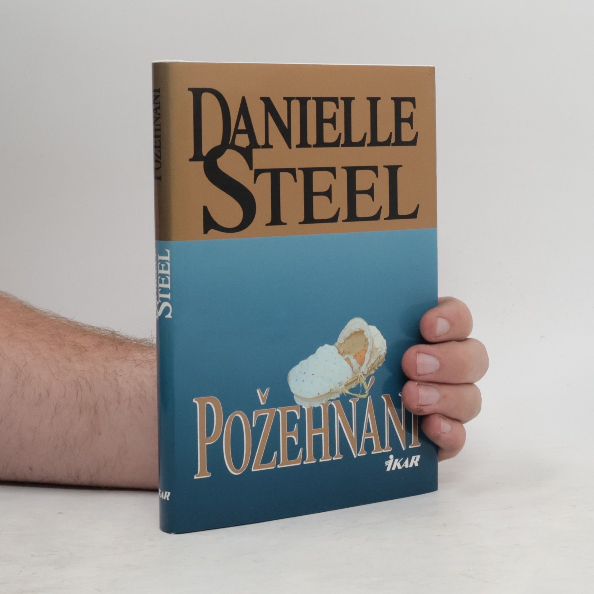 Danielle Steel Požehnání