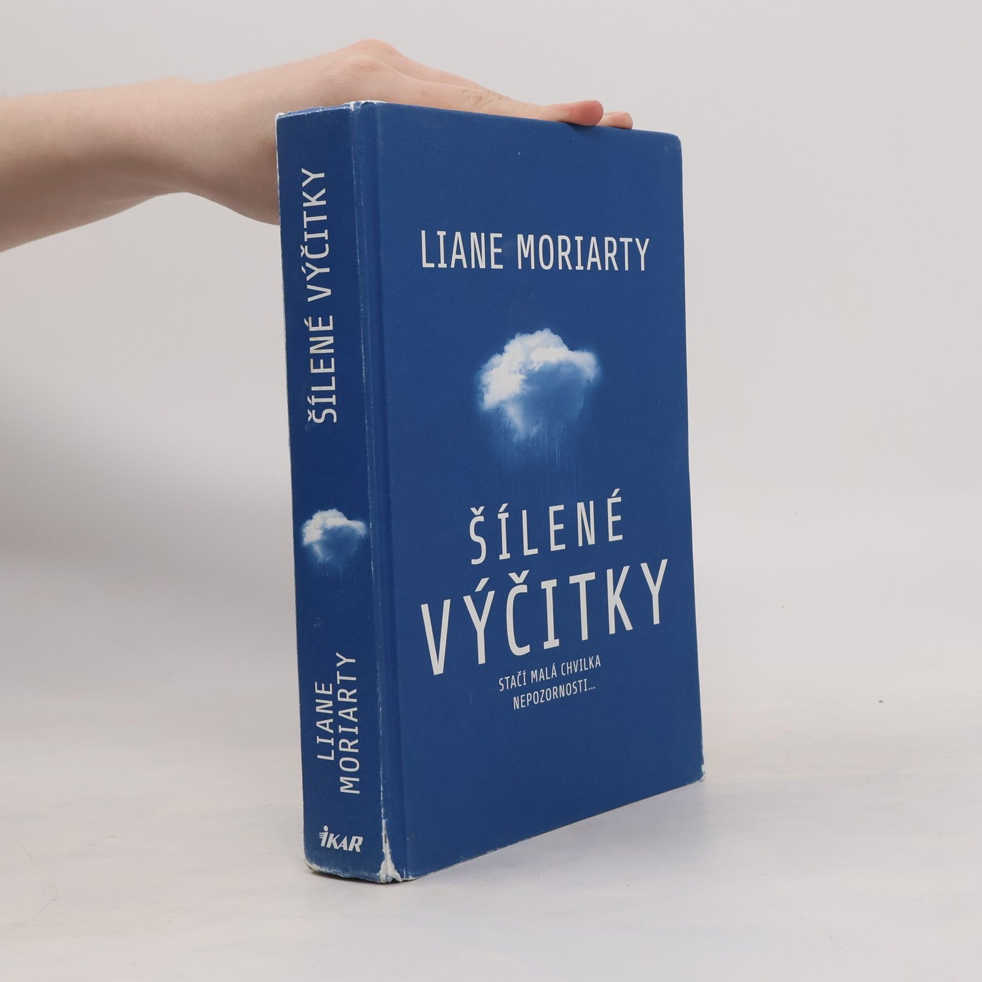 Liane Moriarty Šílené výčitky