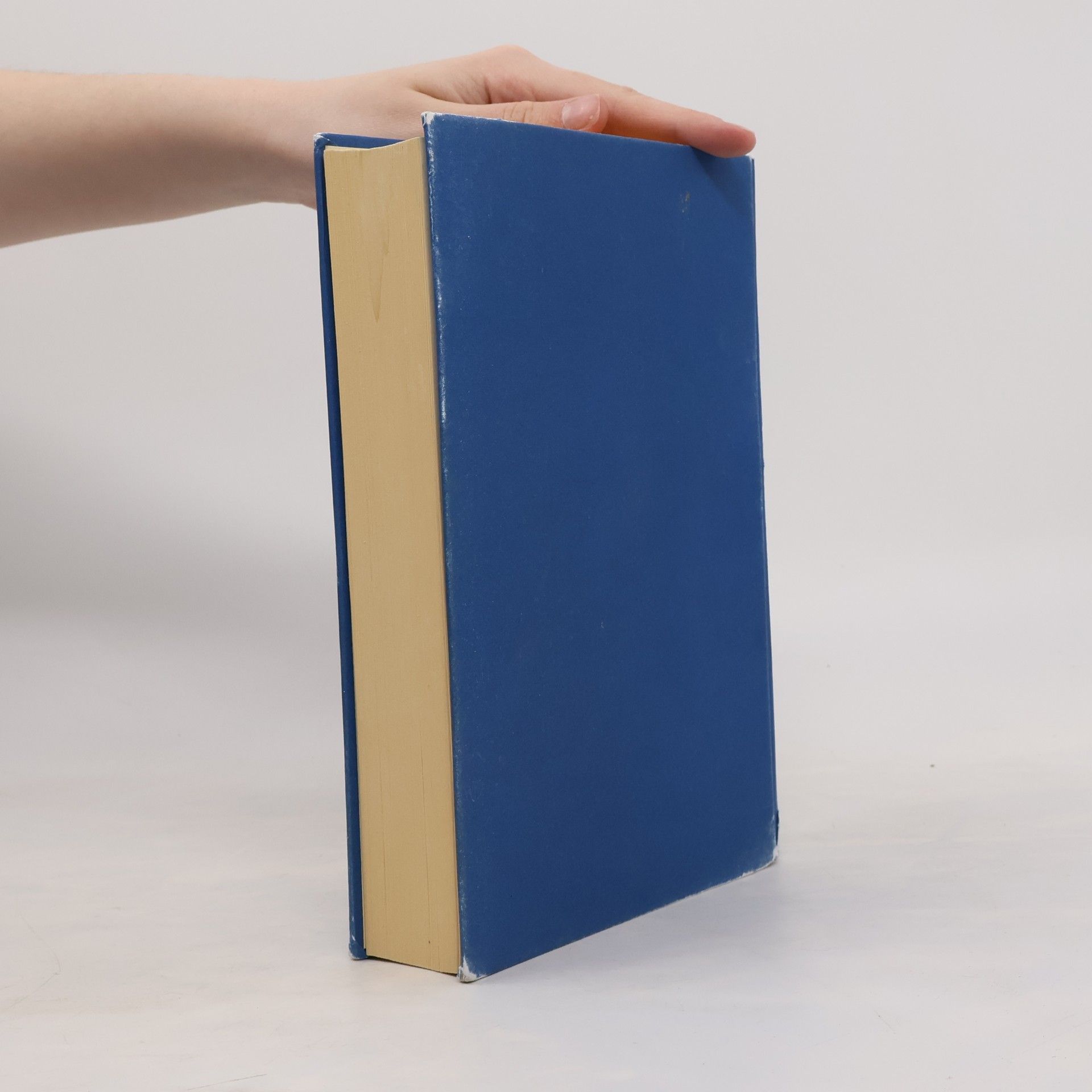Liane Moriarty Šílené výčitky