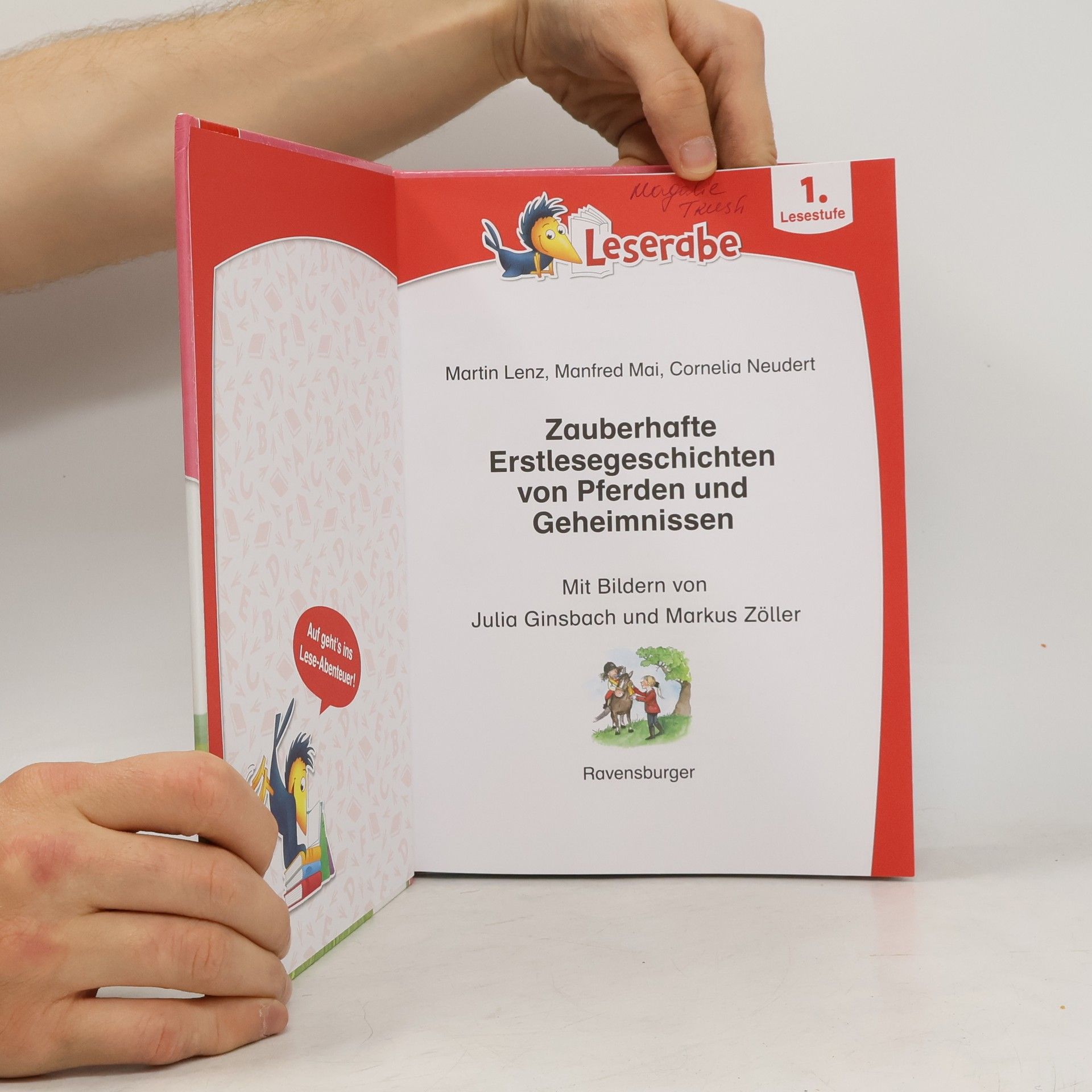 Martin Lenz Zauberhafte Erstlesegeschichten von Pferden und Geheimnissen