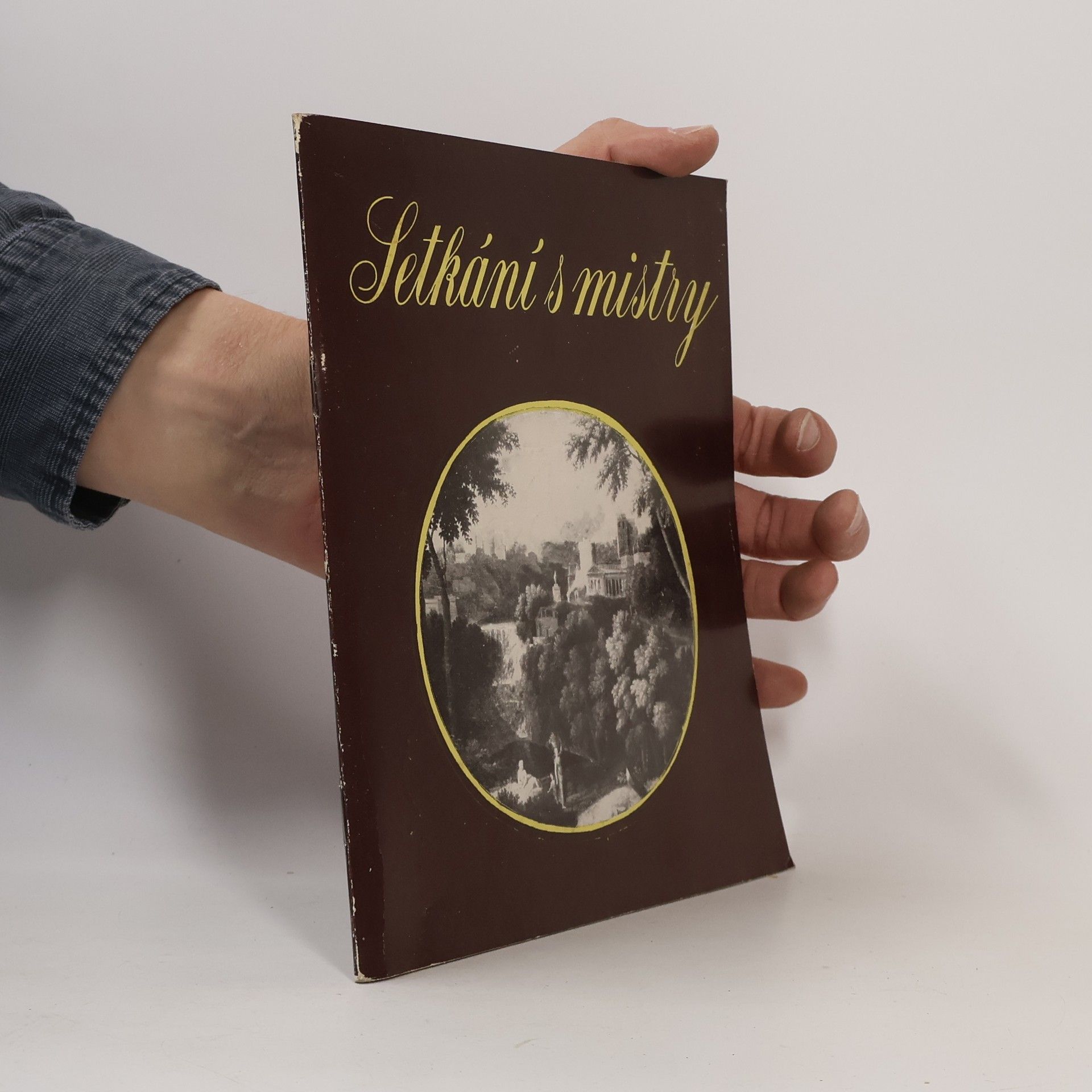 Various authors Setkání s mistry