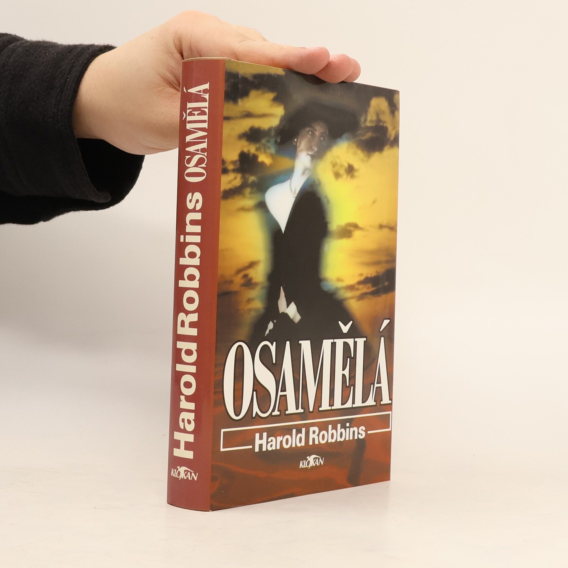 Harold Robbins Osamělá