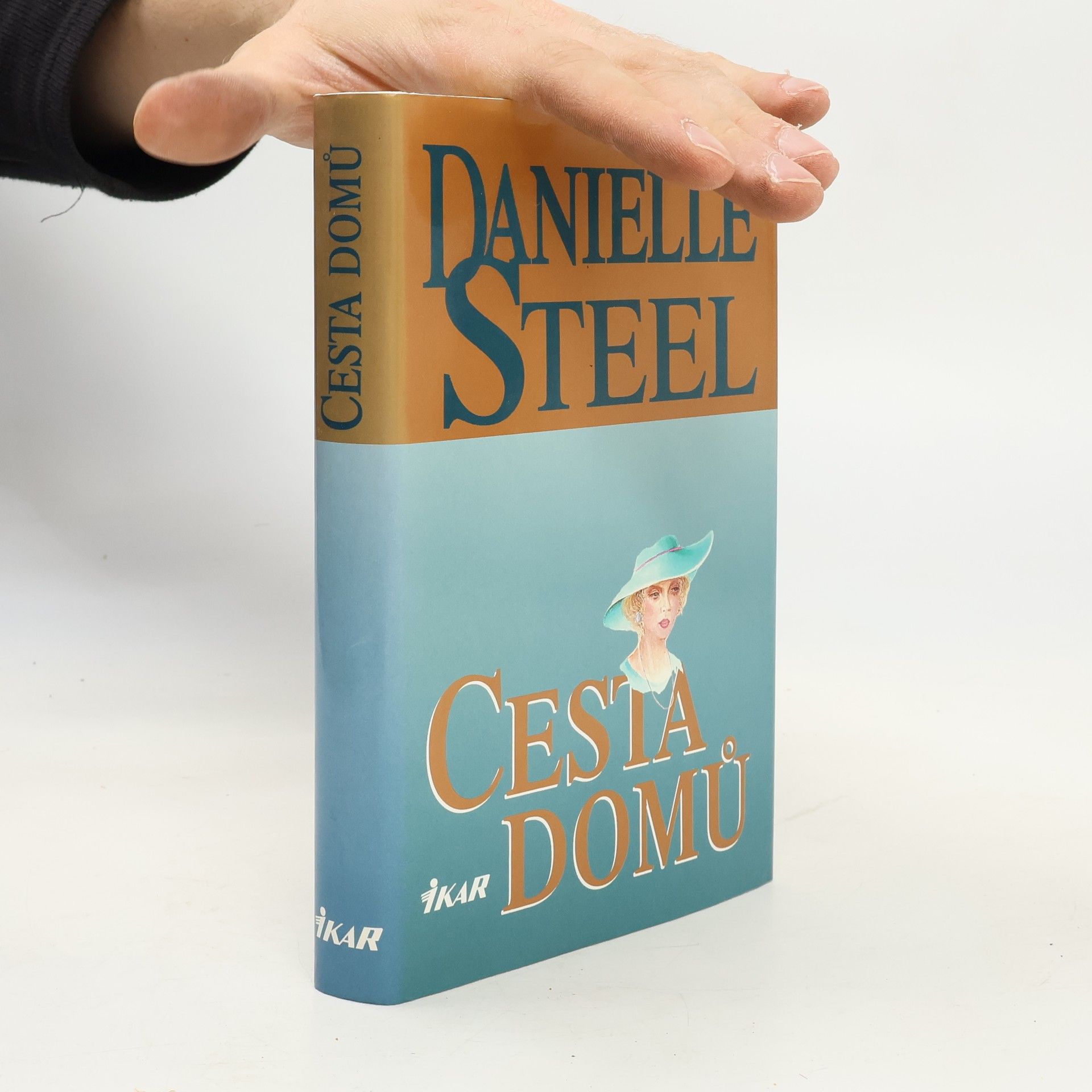 Danielle Steel Cesta domů