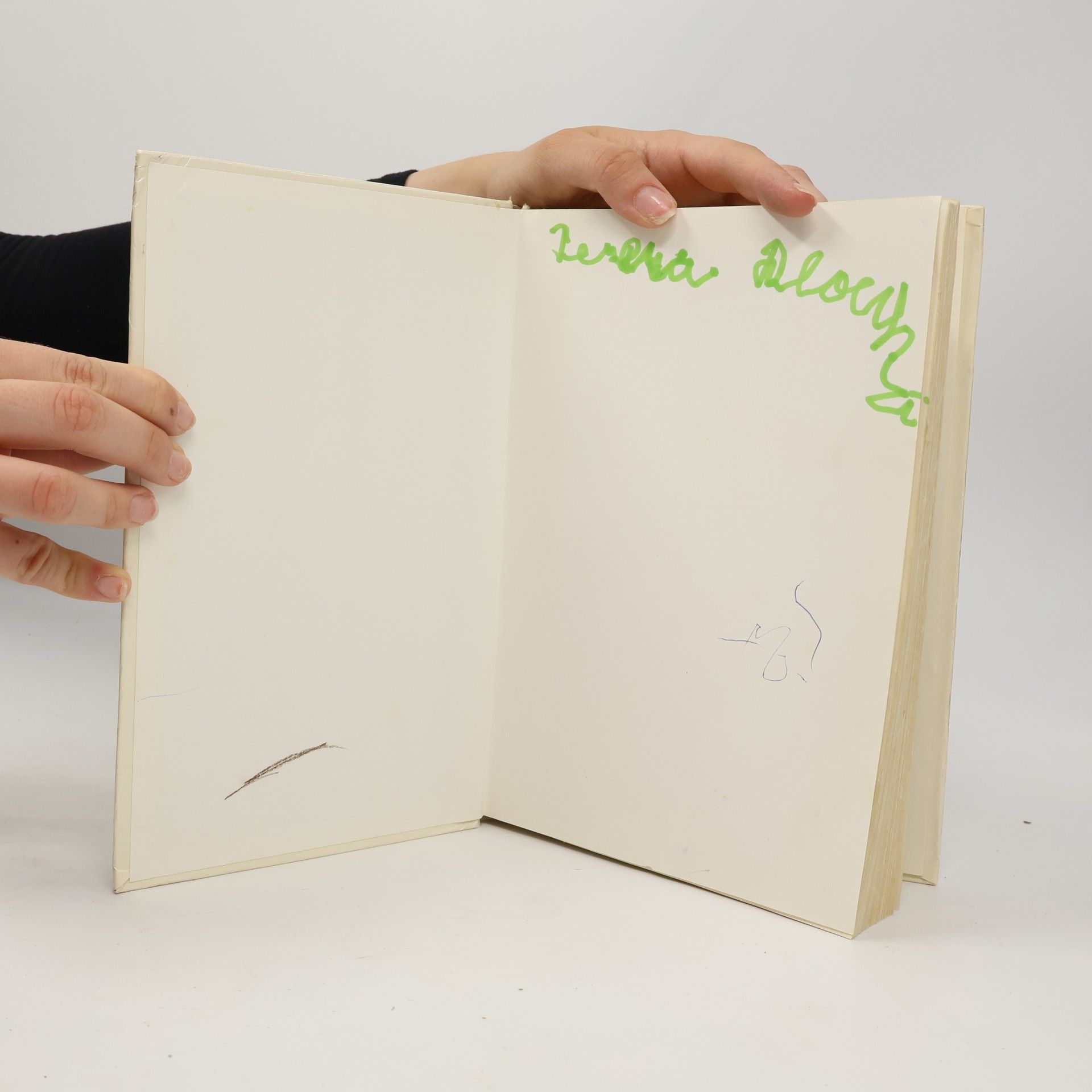 Astrid Lindgren Pipi Dlouhá punčocha