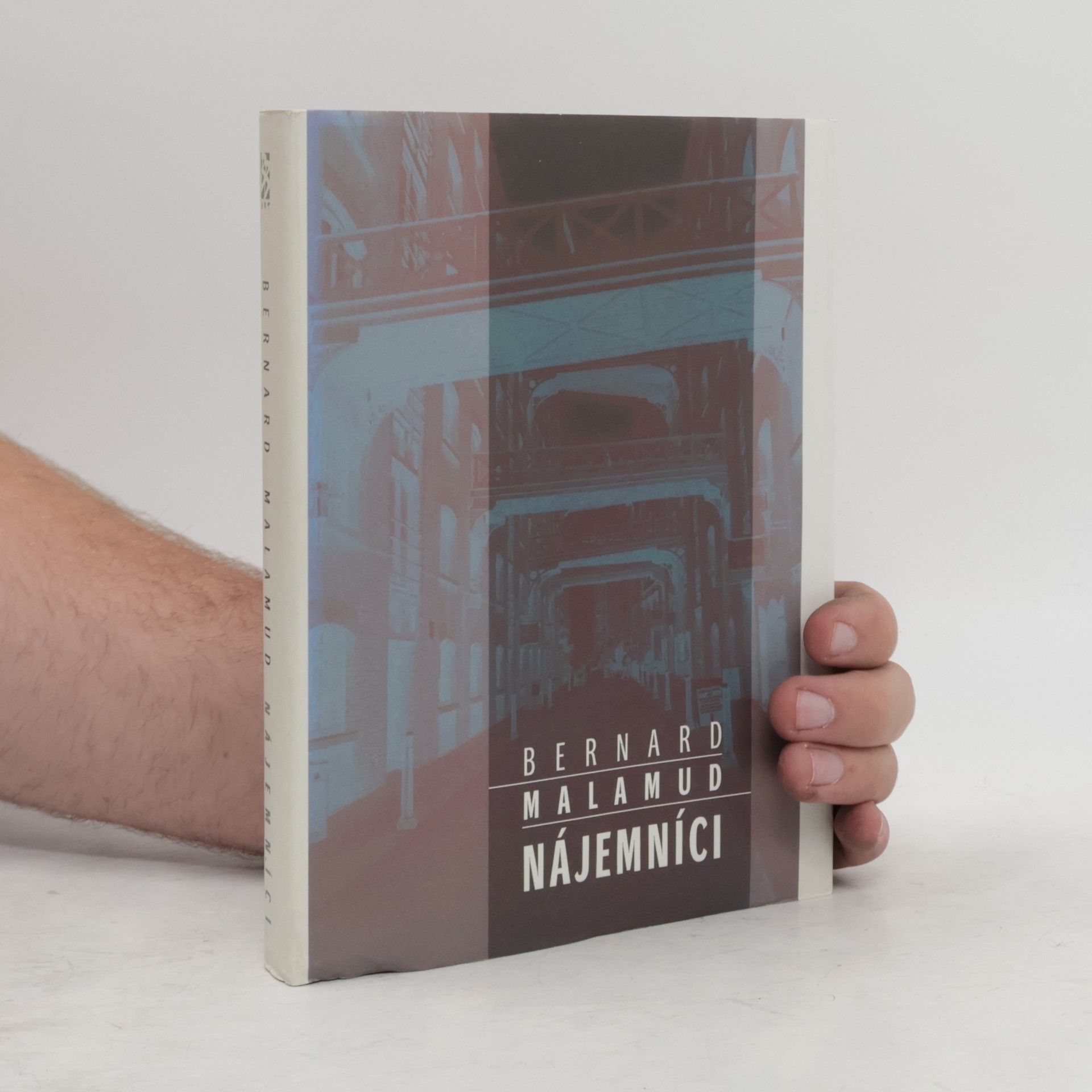 Bernard Malamud Nájemníci