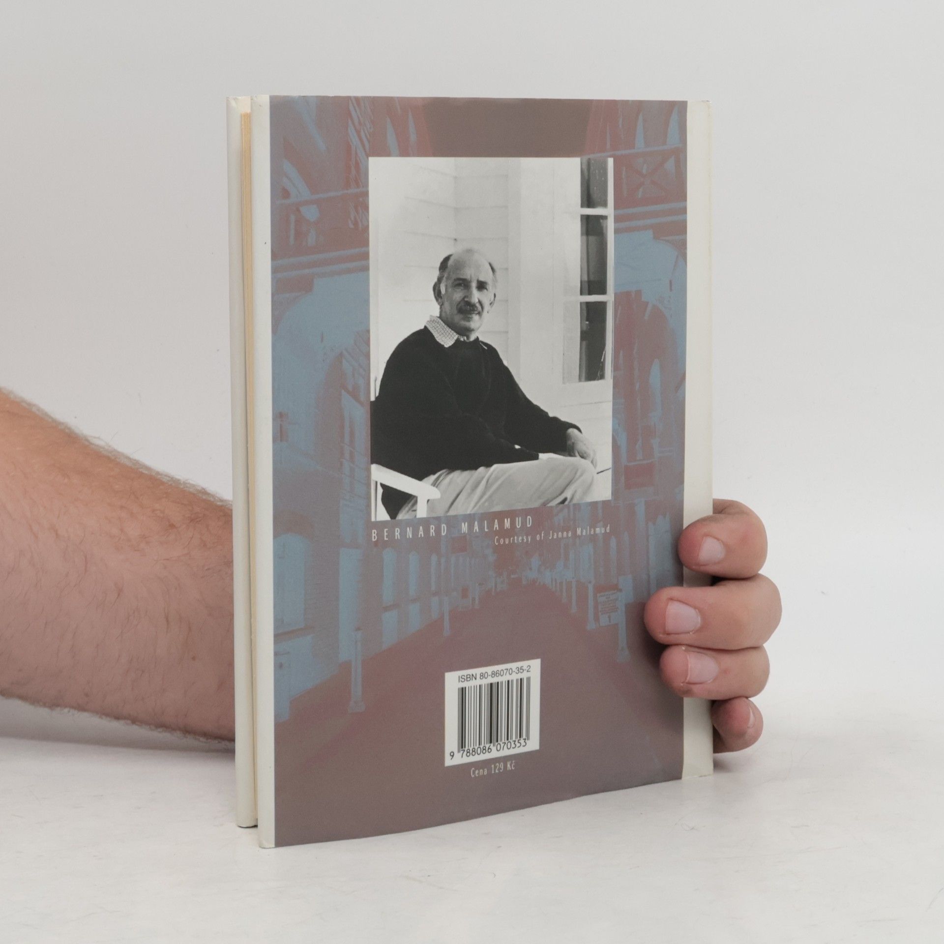 Bernard Malamud Nájemníci