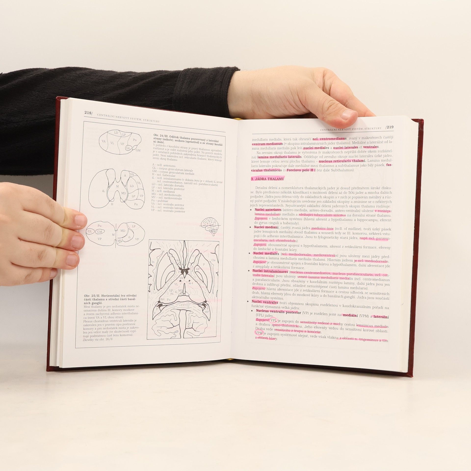Pavel Petrovický Anatomie s topografií a klinickými aplikacemi. III. svazek, Neuroanatomie, smyslová ústrojí a kůže
