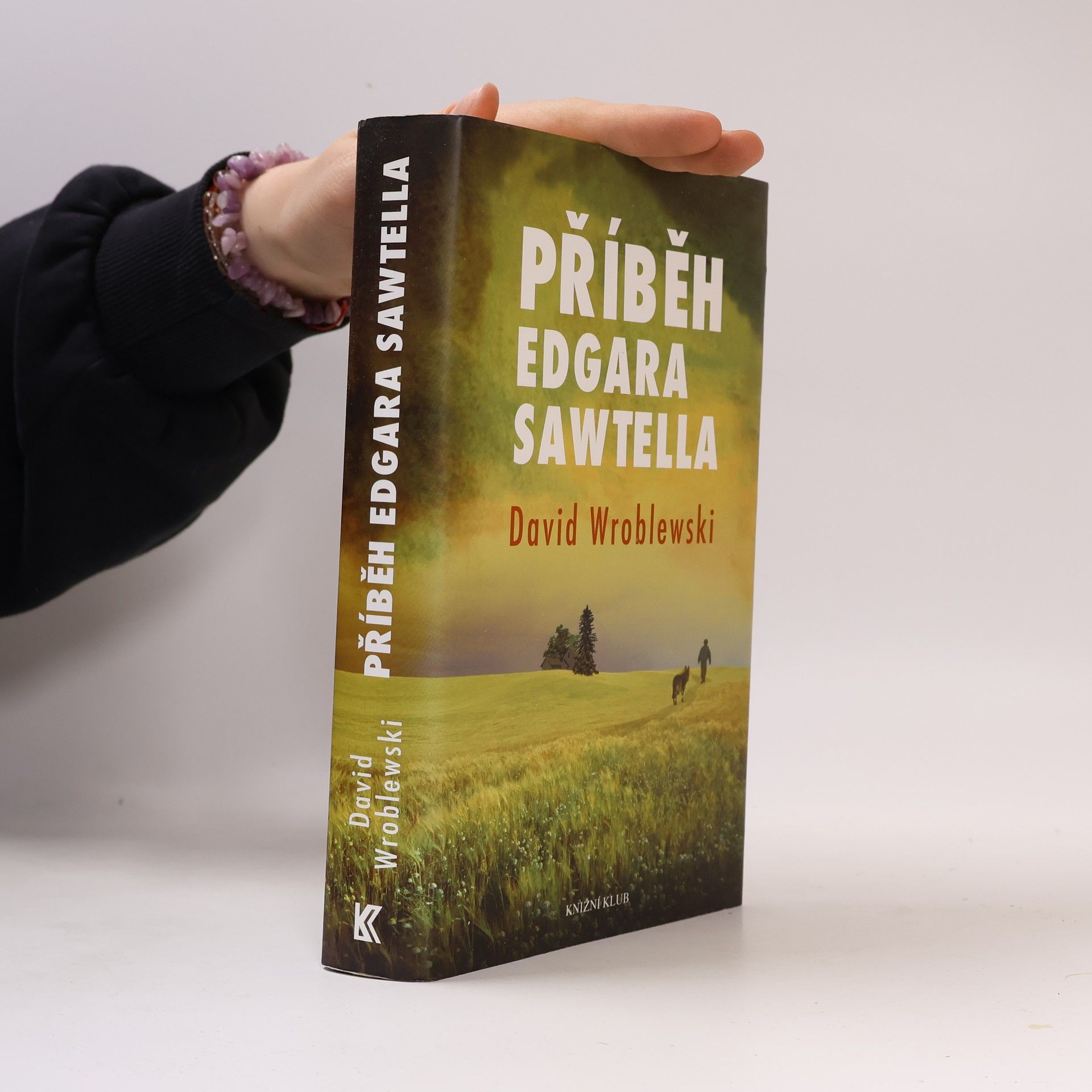 David Wroblewski Příběh Edgara Sawtella