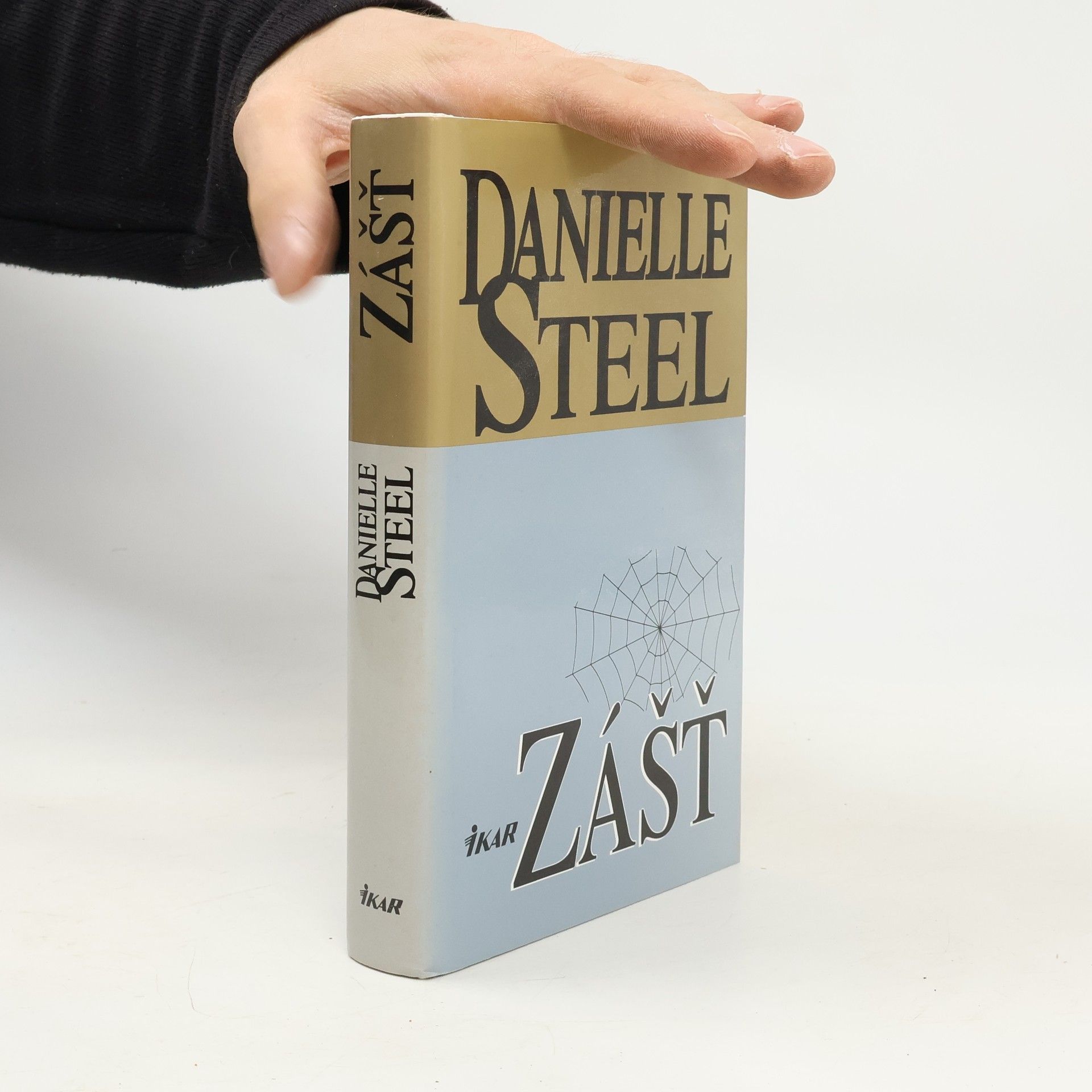 Danielle Steel Zášť