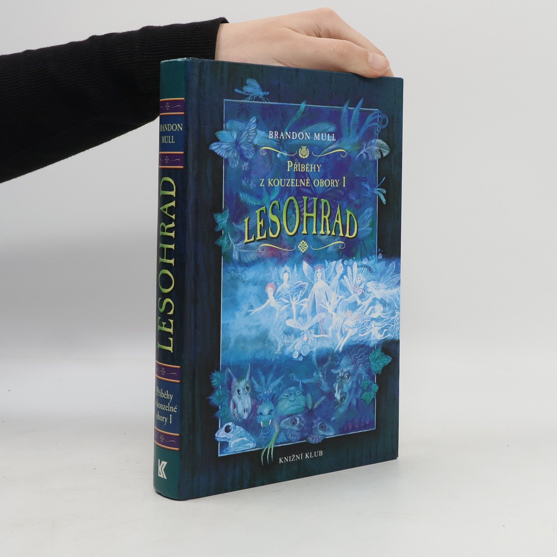 Brandon Mull Příběhy z kouzelné obory 1. Lesohrad