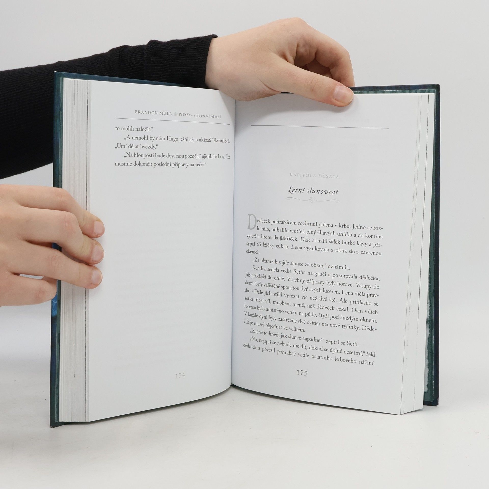 Brandon Mull Příběhy z kouzelné obory 1. Lesohrad