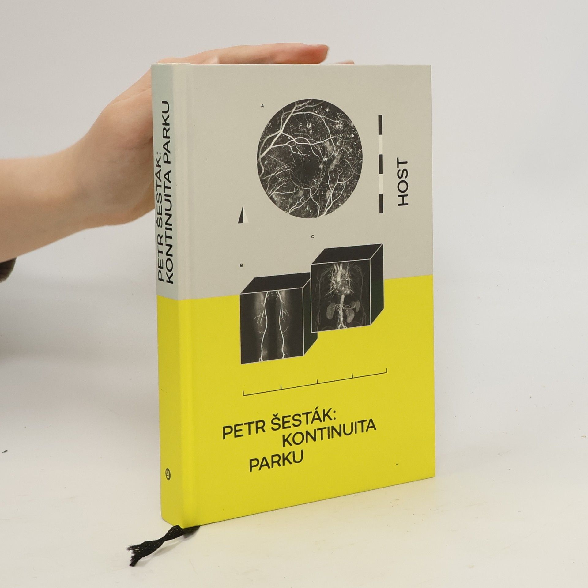 Petr Šesták Kontinuita parku