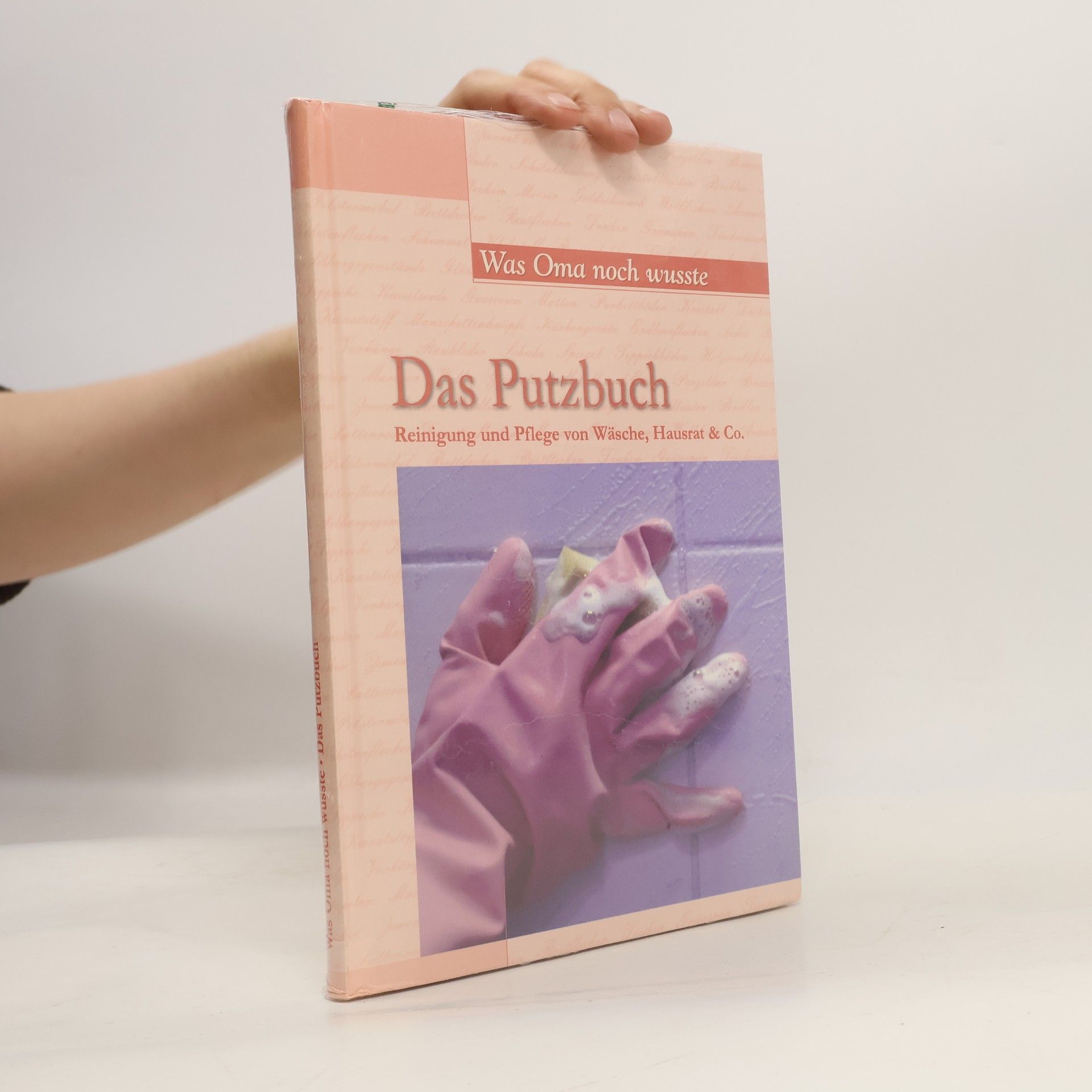 Collectif d'auteurs Das Putzbuch