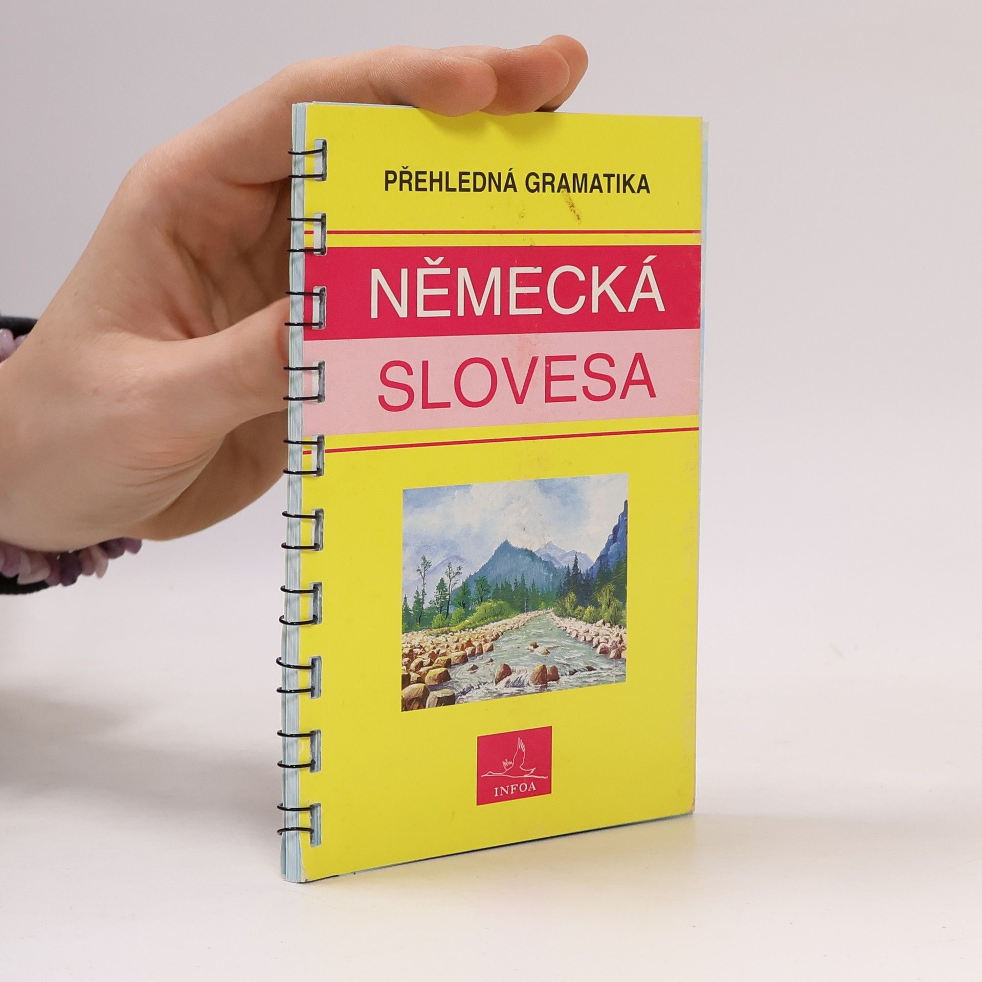 Auteurscollectief Německá slovesa : přehledná gramatika