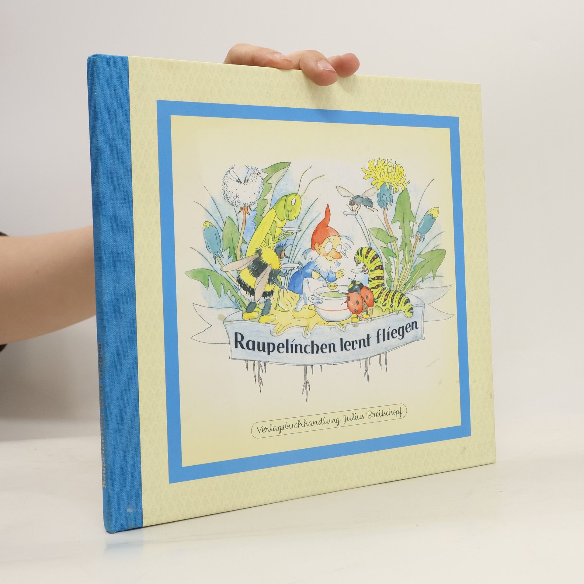 Autorenkollektiv Raupelínchen lernt fliegen