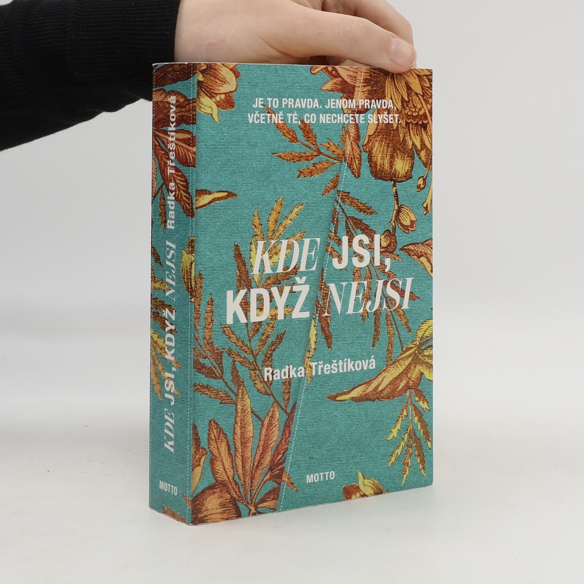 Radka Třeštíková Kde jsi, když nejsi