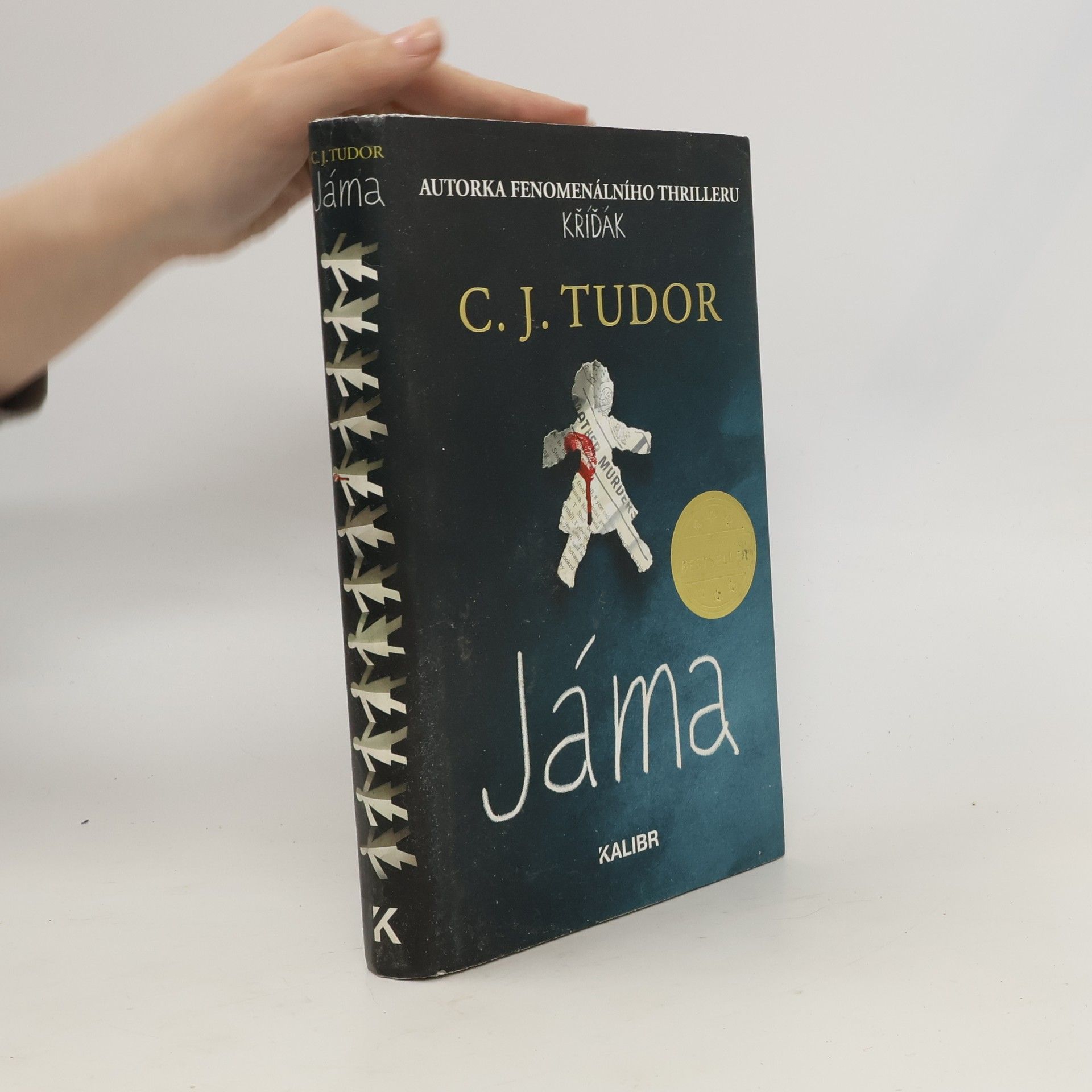 Jáma
