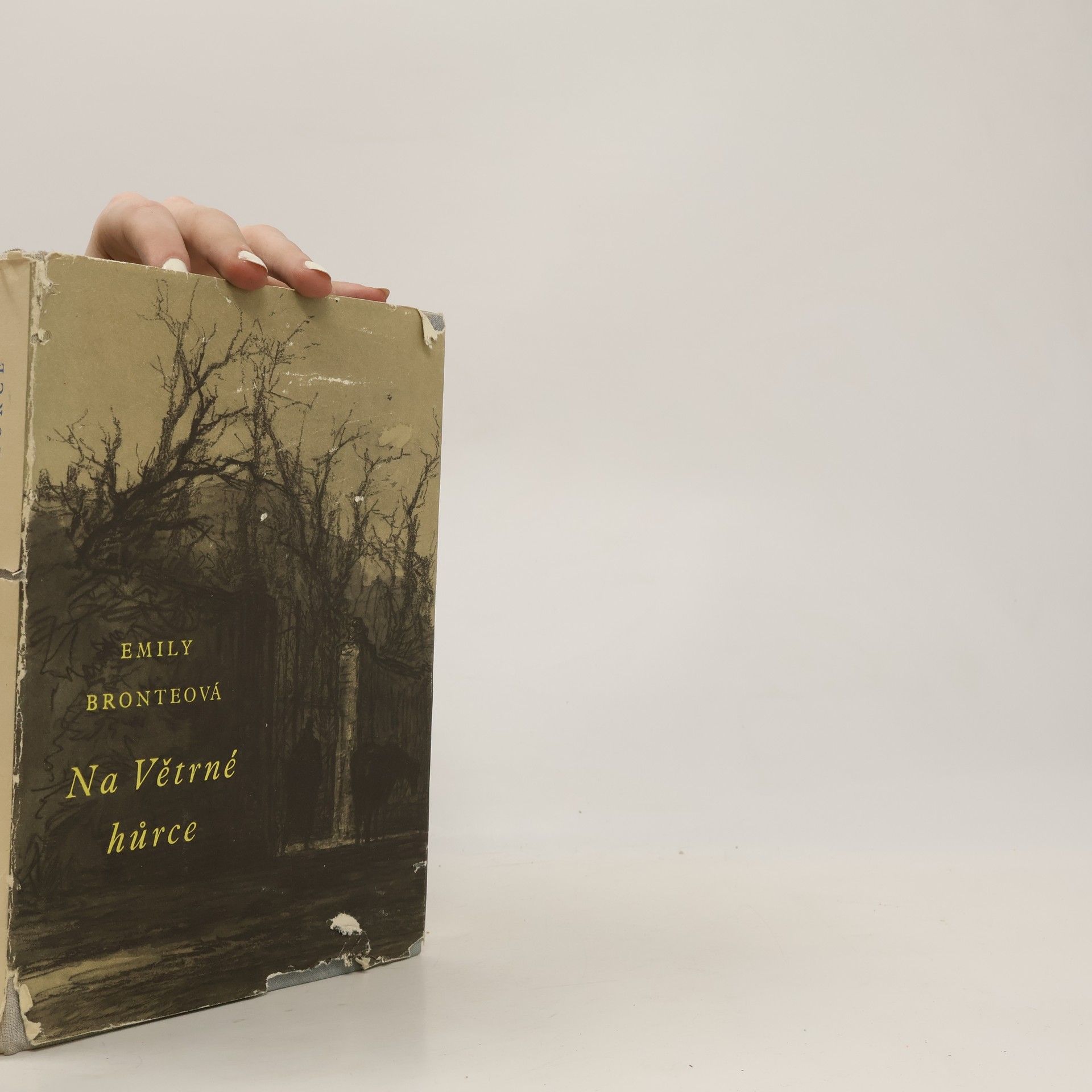 Emily Brontë Na Větrné hůrce