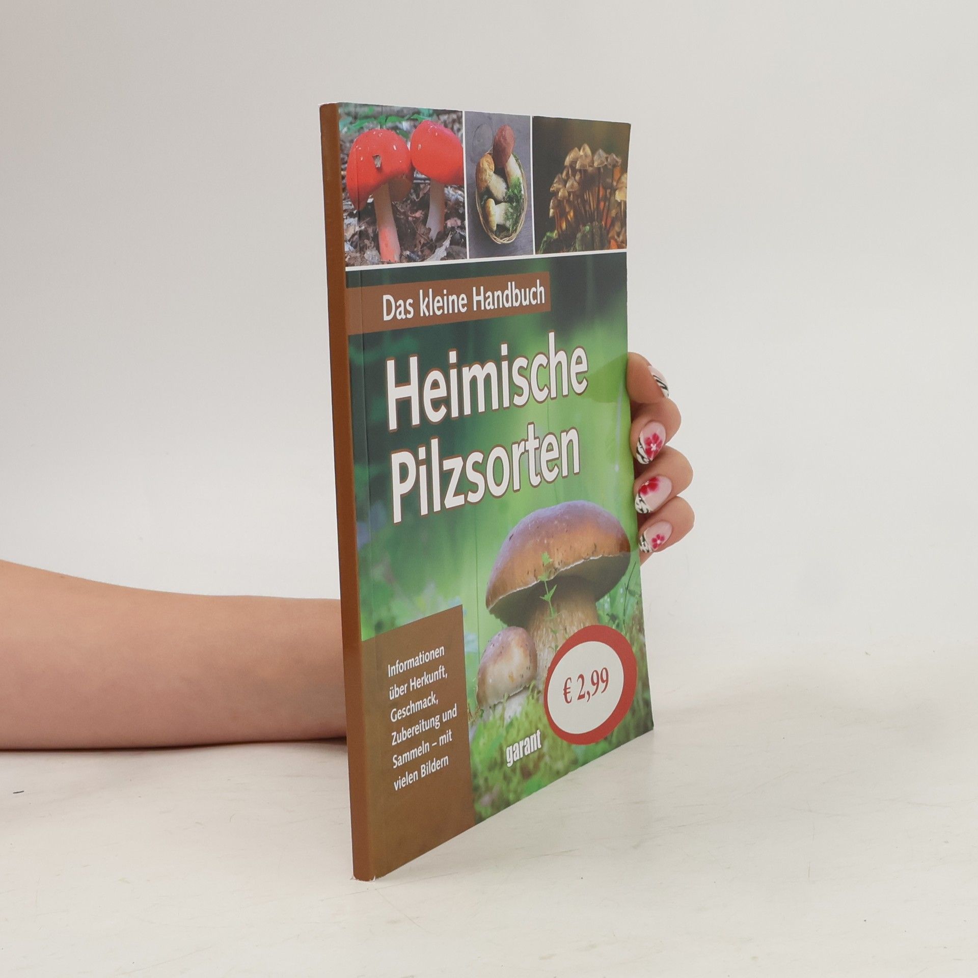 Kolektiv autorů Die häufigsten heimischen Pilzsorten