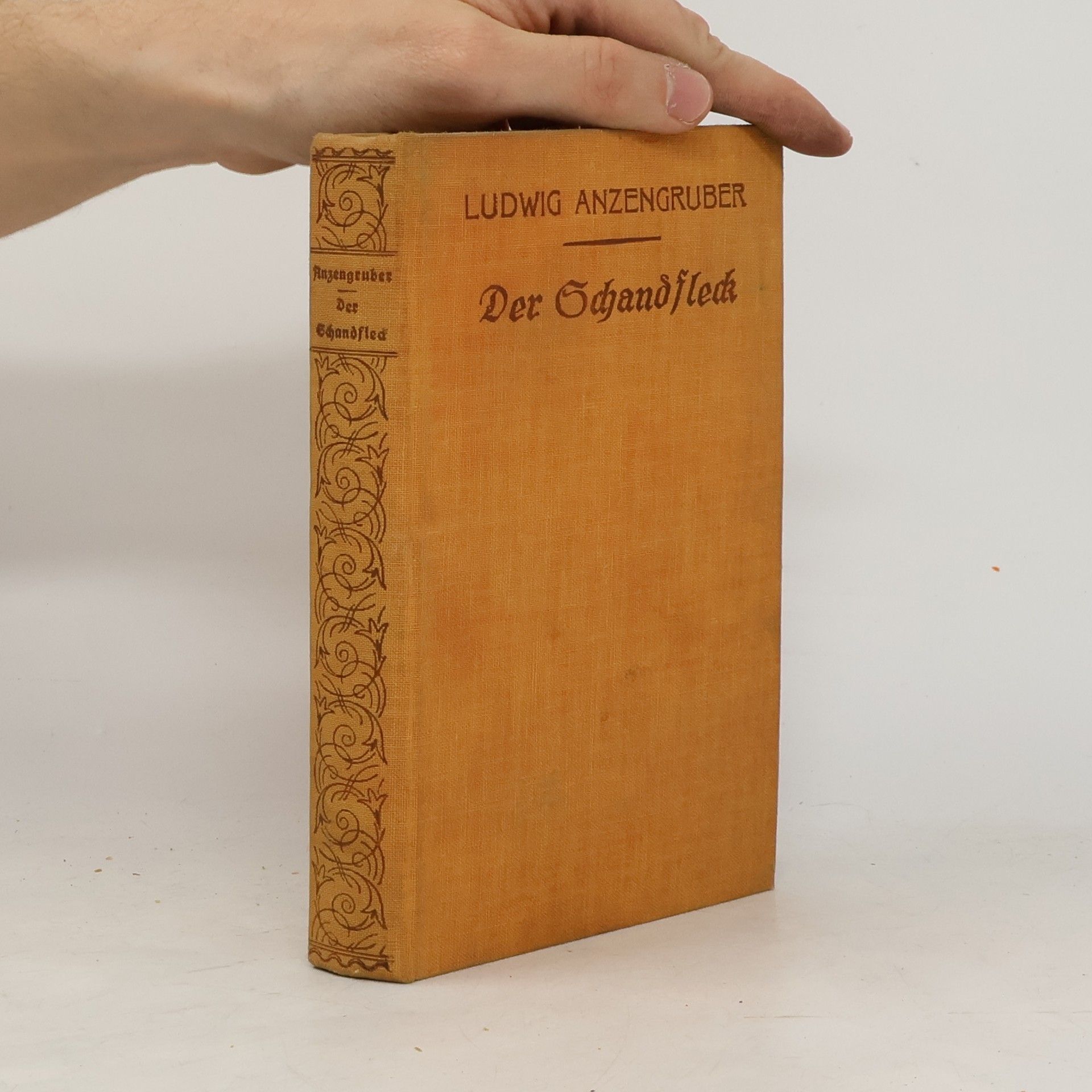 Ludwig Anzengruber Der Schandfleck
