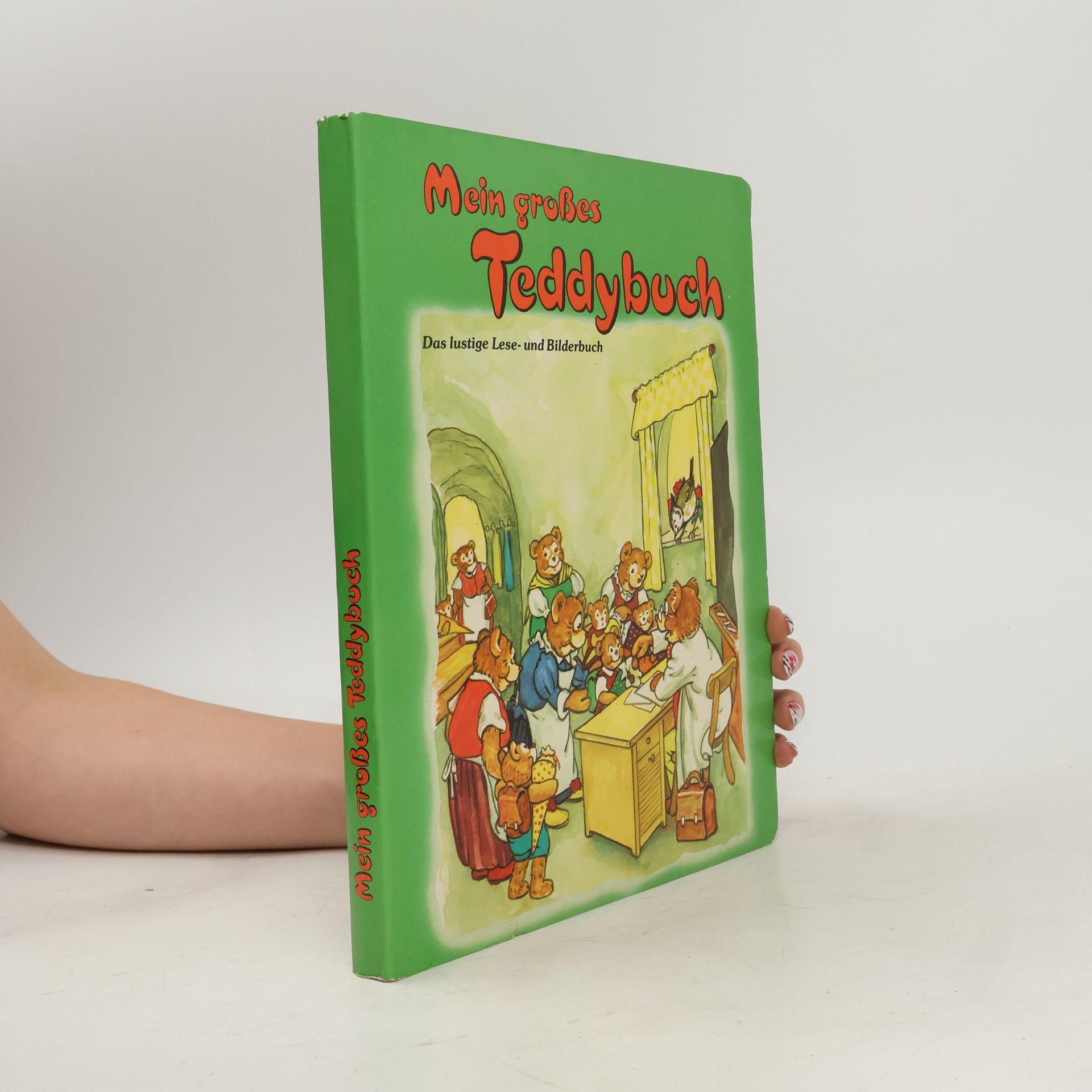Kolektiv autorů Mein großes Teddybuch
