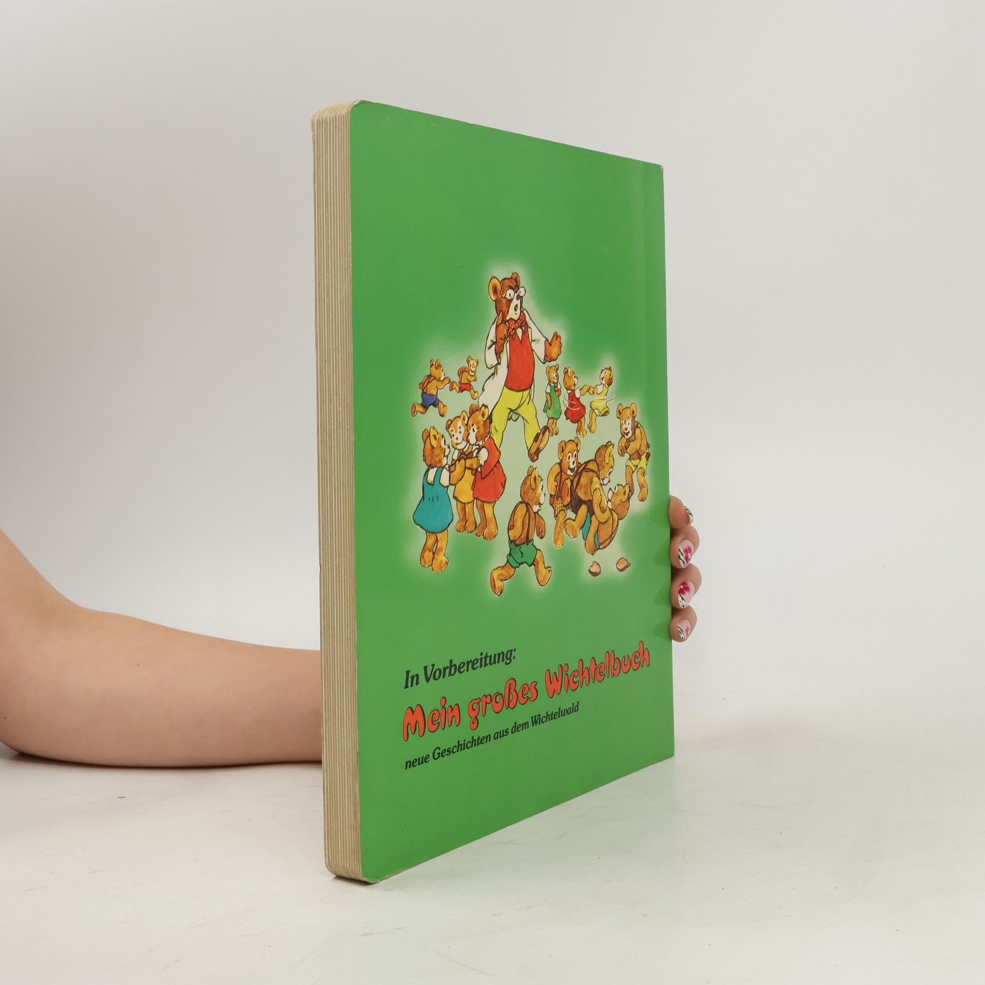 Autorenkollektiv Mein großes Teddybuch