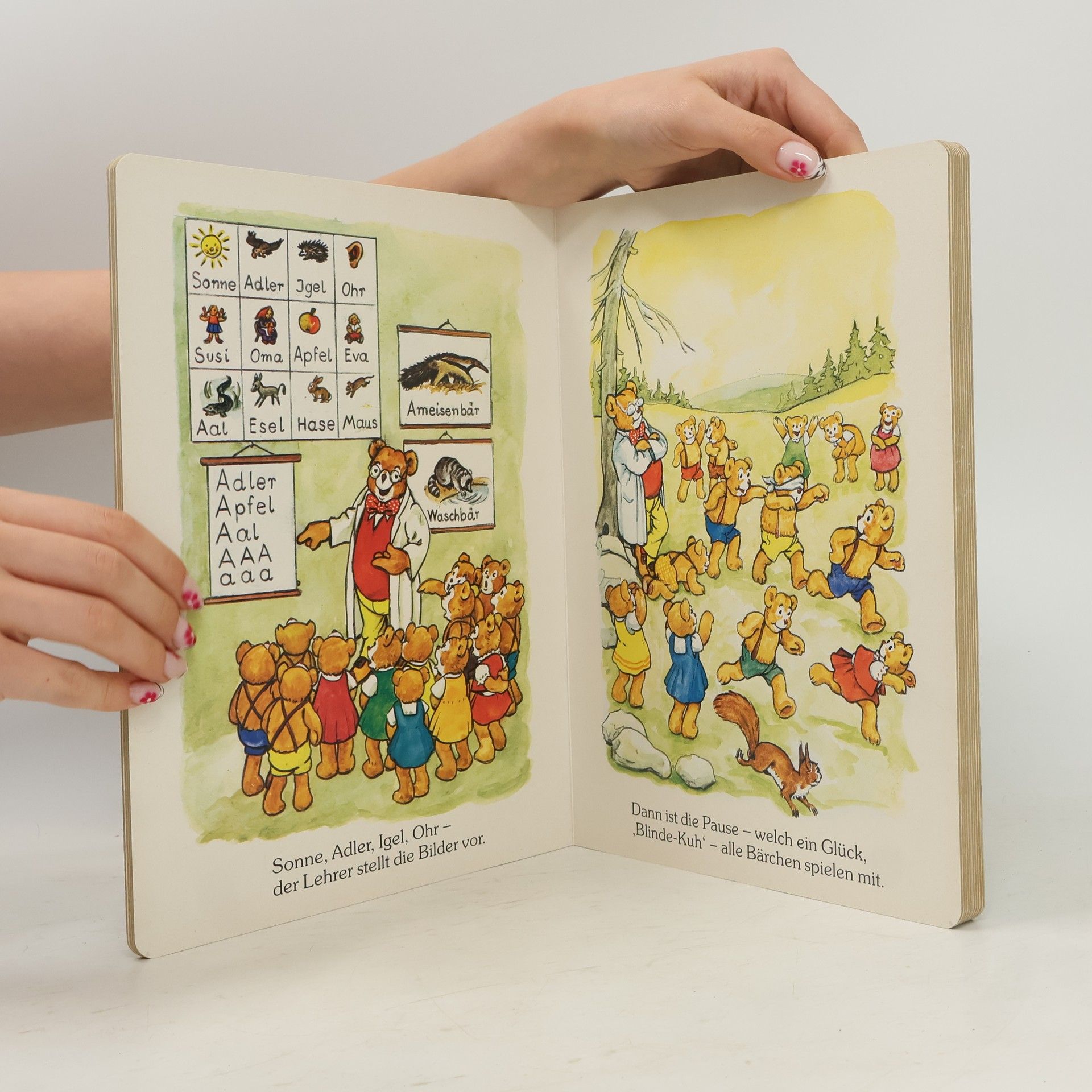 Autorenkollektiv Mein großes Teddybuch