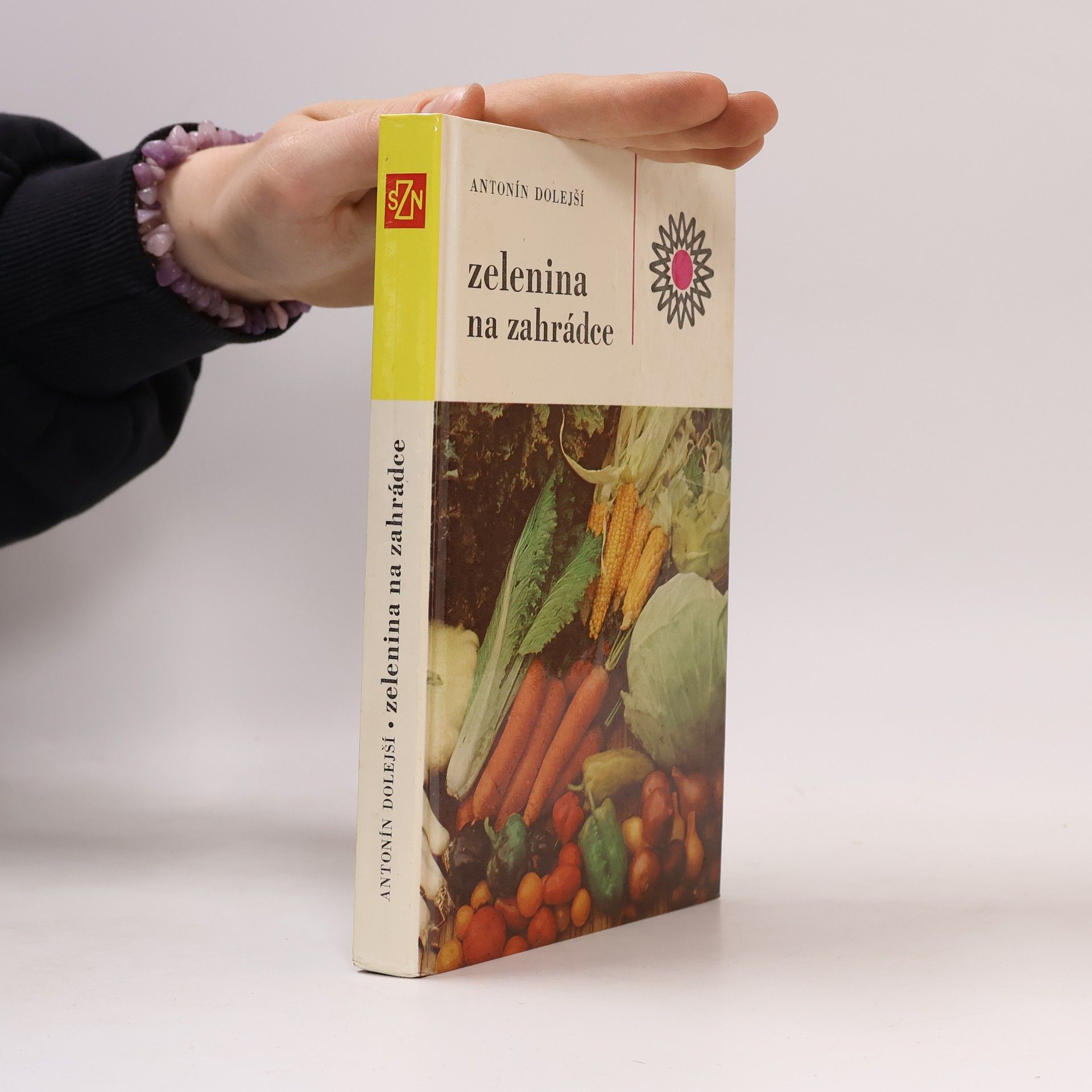Antonín Dolejší Zelenina na zahrádce