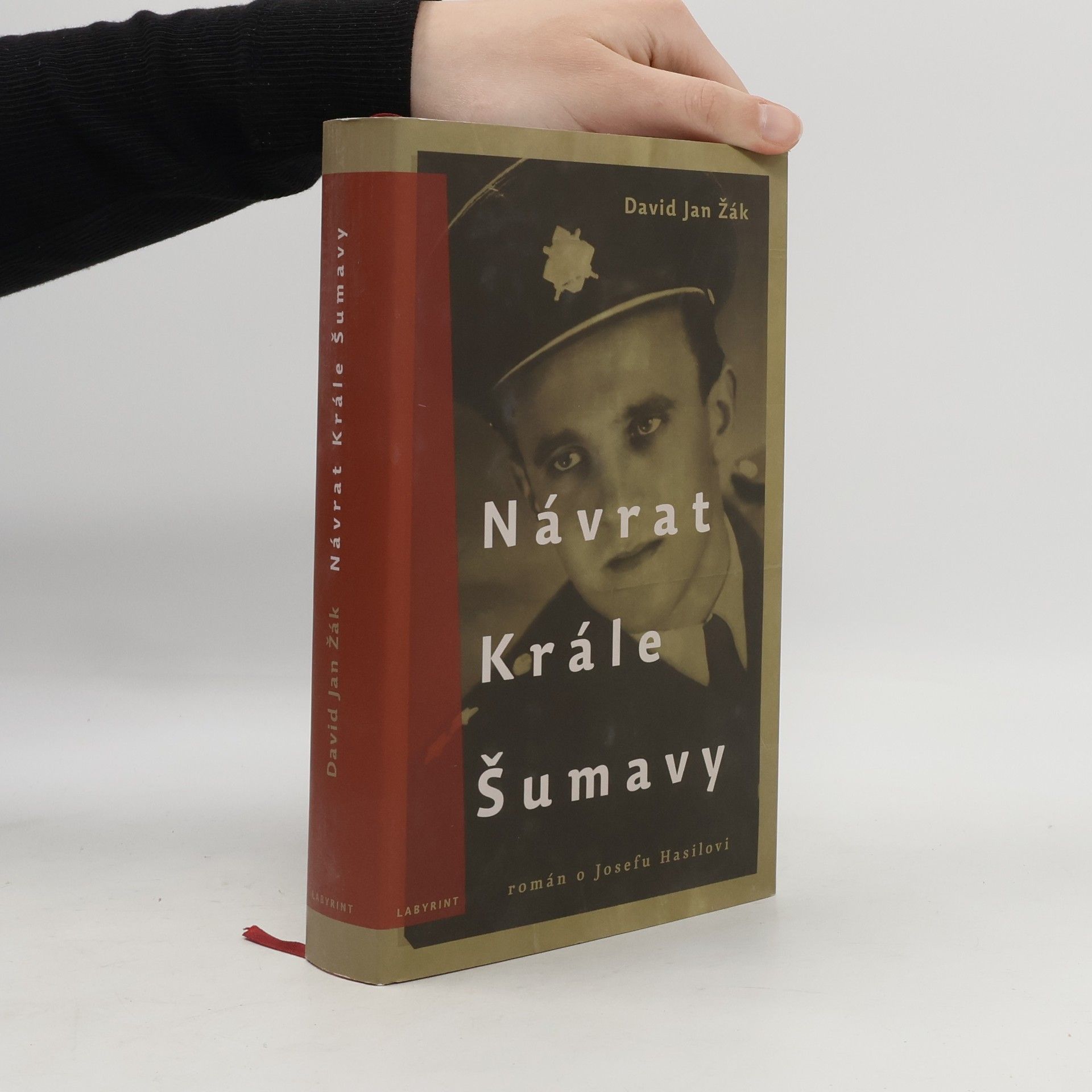 David Jan Žák Návrat Krále Šumavy