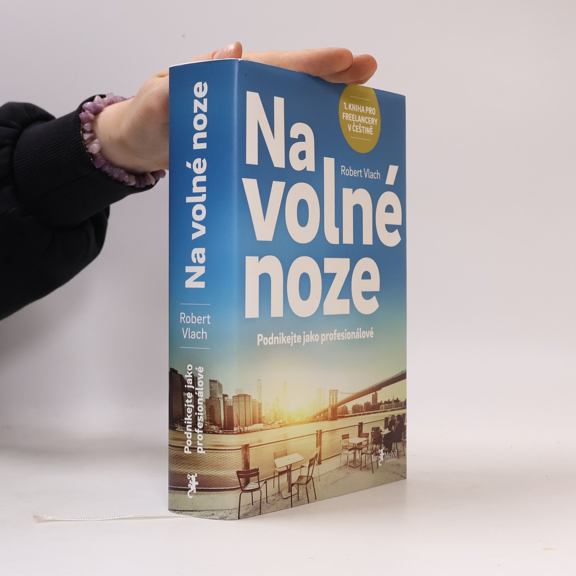 Robert Vlach (podnikatel) Na volné noze