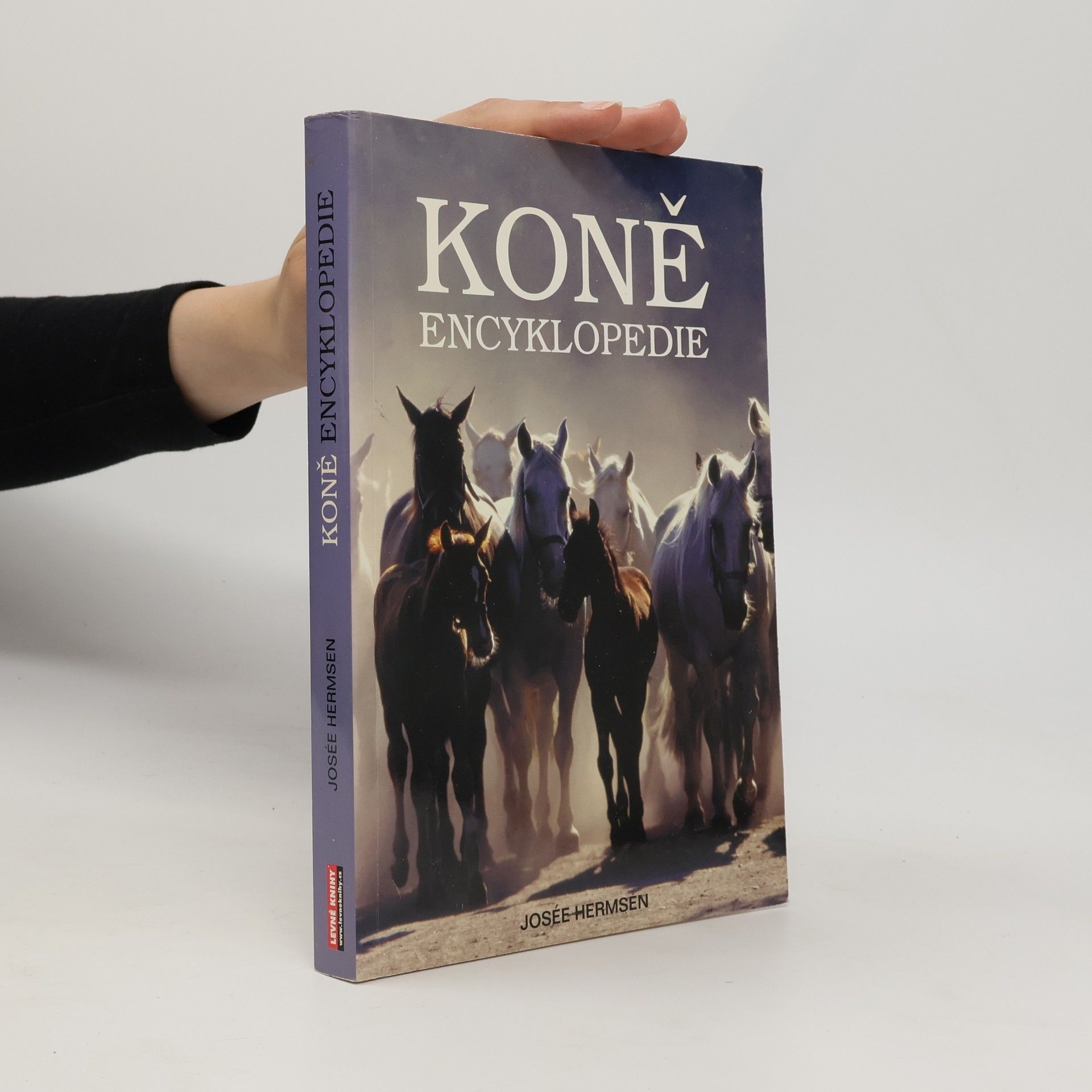 Kateřina Hlavová Koně. Encyklopedie