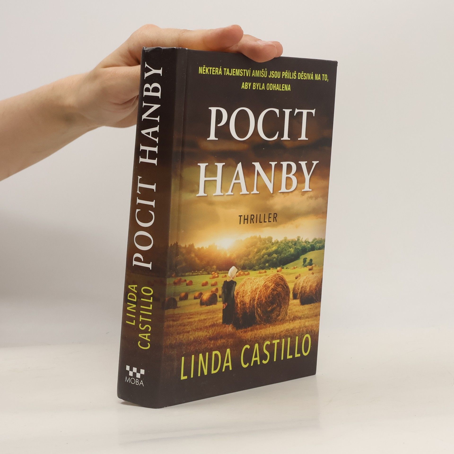 Linda Castillo Pocit hanby