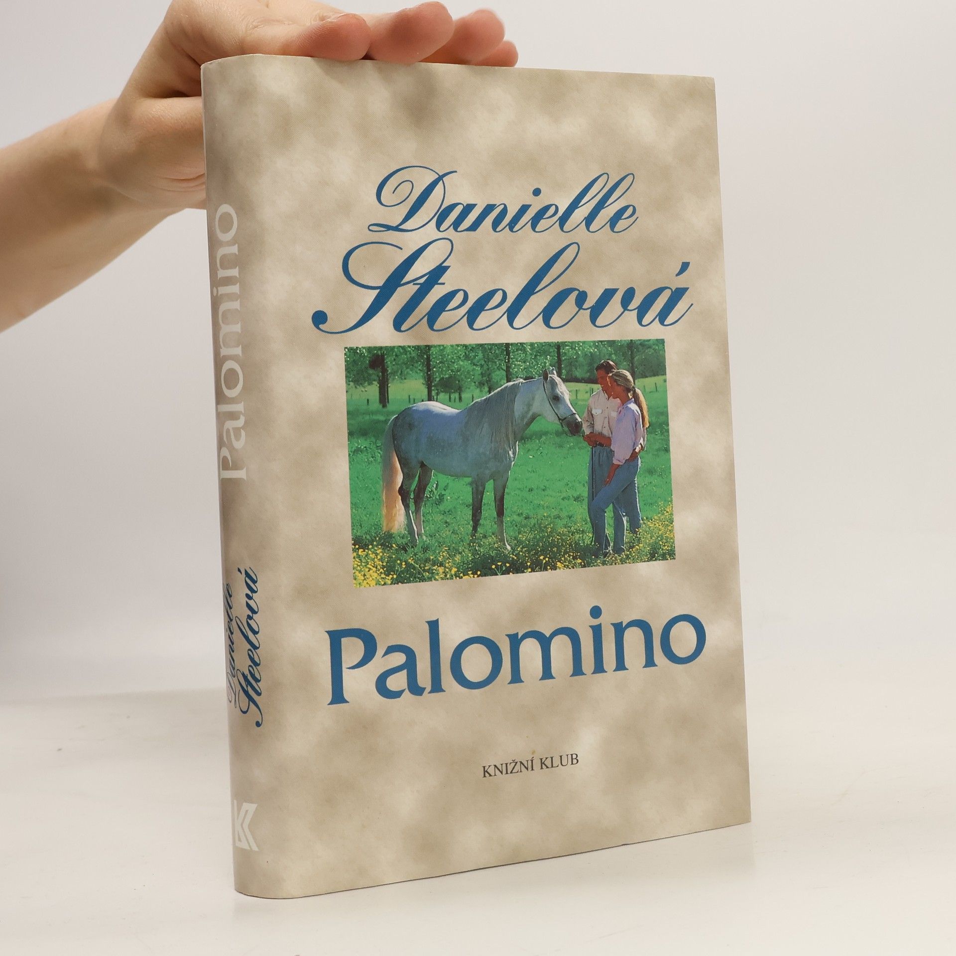 Danielle Steelová Palomino
