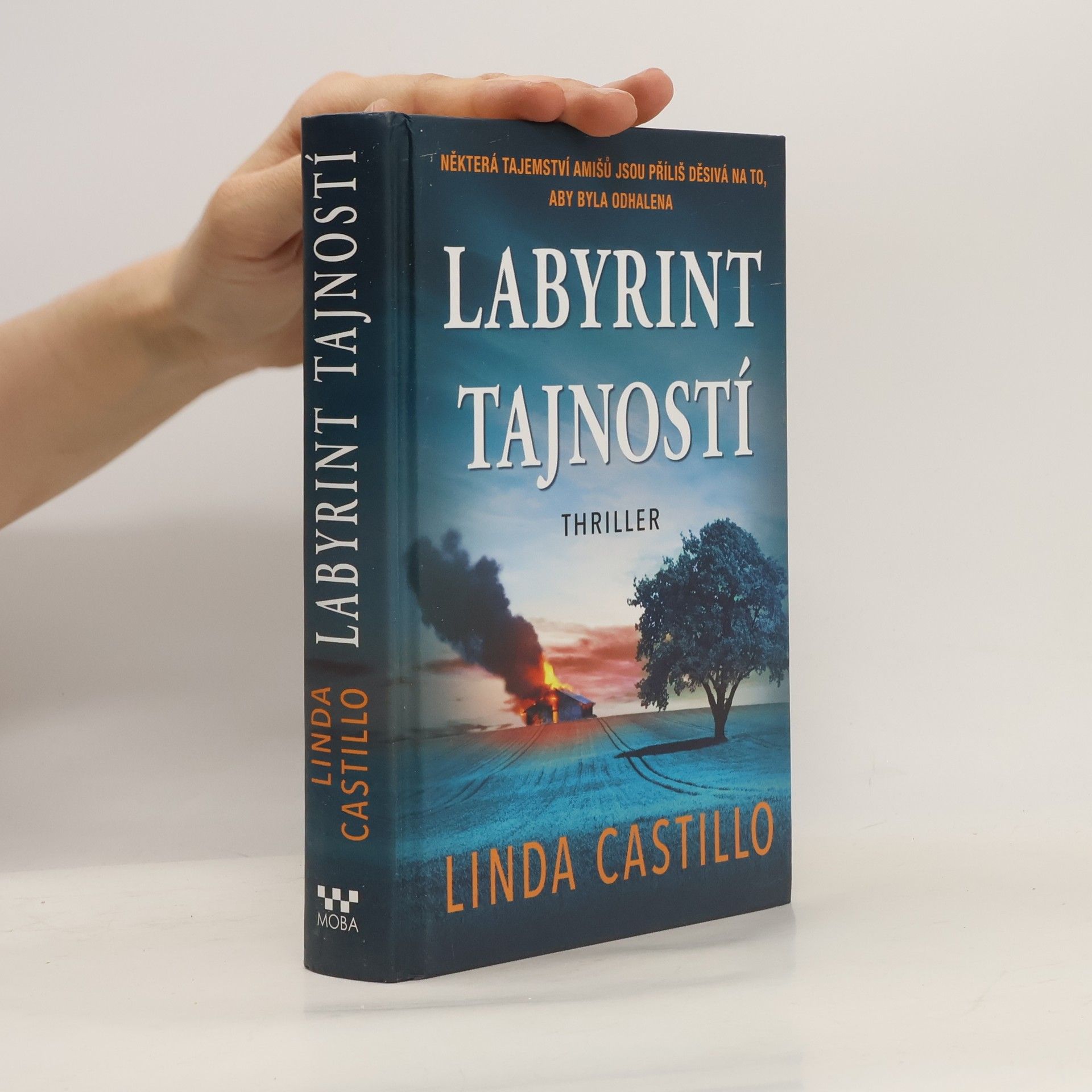 Linda Castillo Labyrint tajností