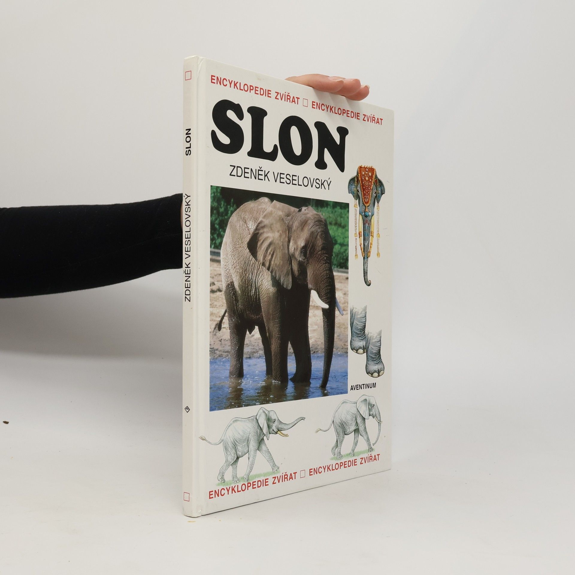 Zdeněk Veselovský Slon