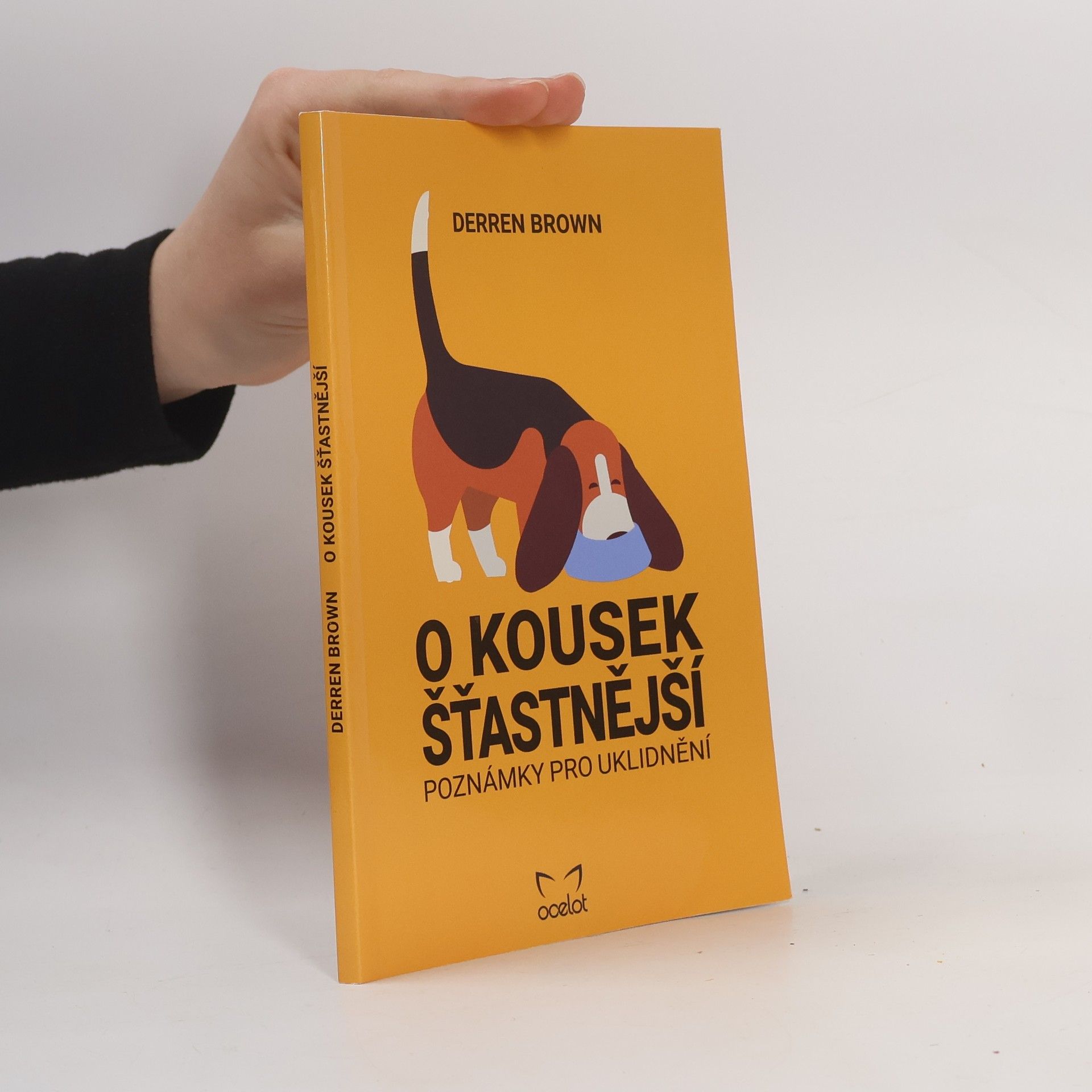 Derren Brown O kousek šťastnější