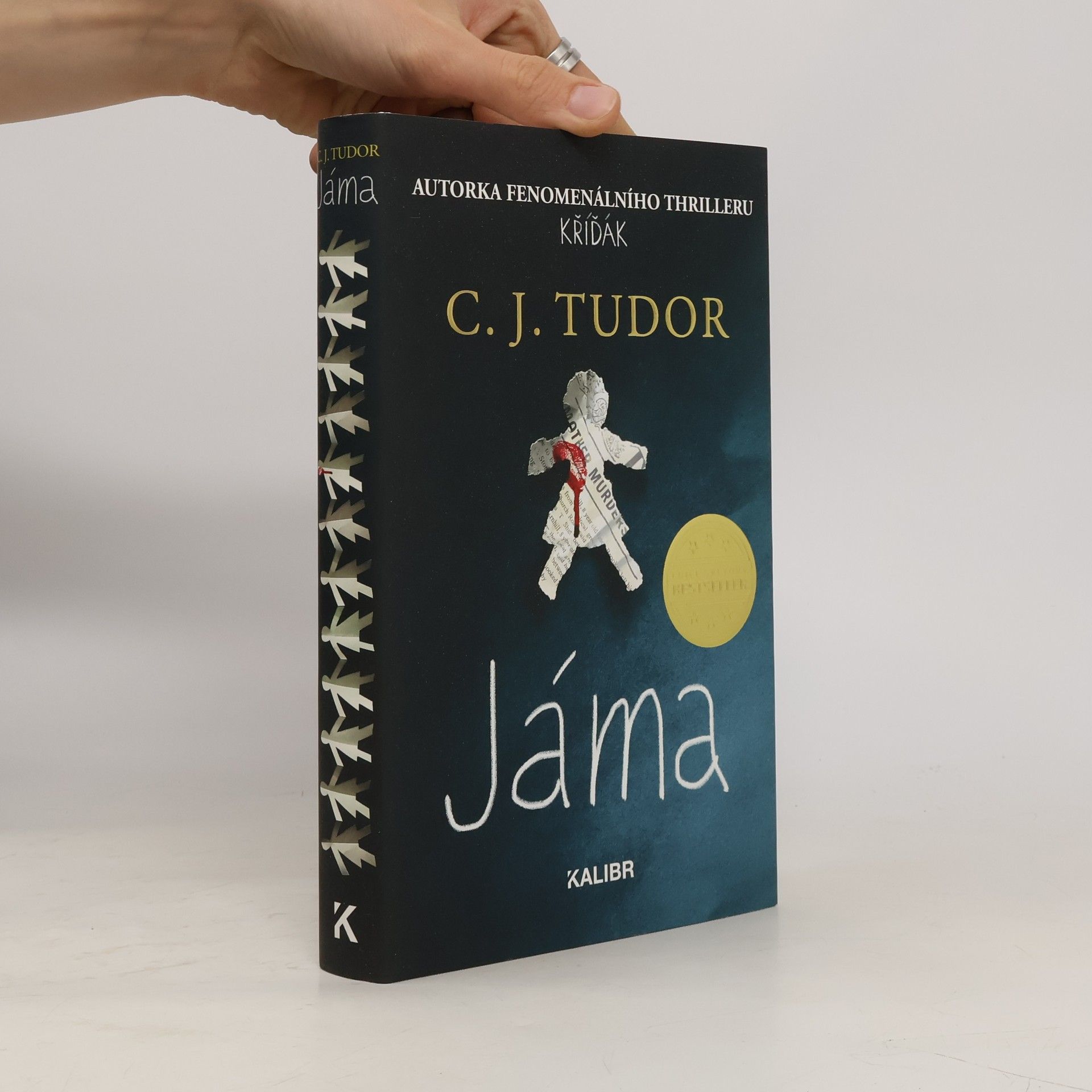 C.J. Tudor Jáma