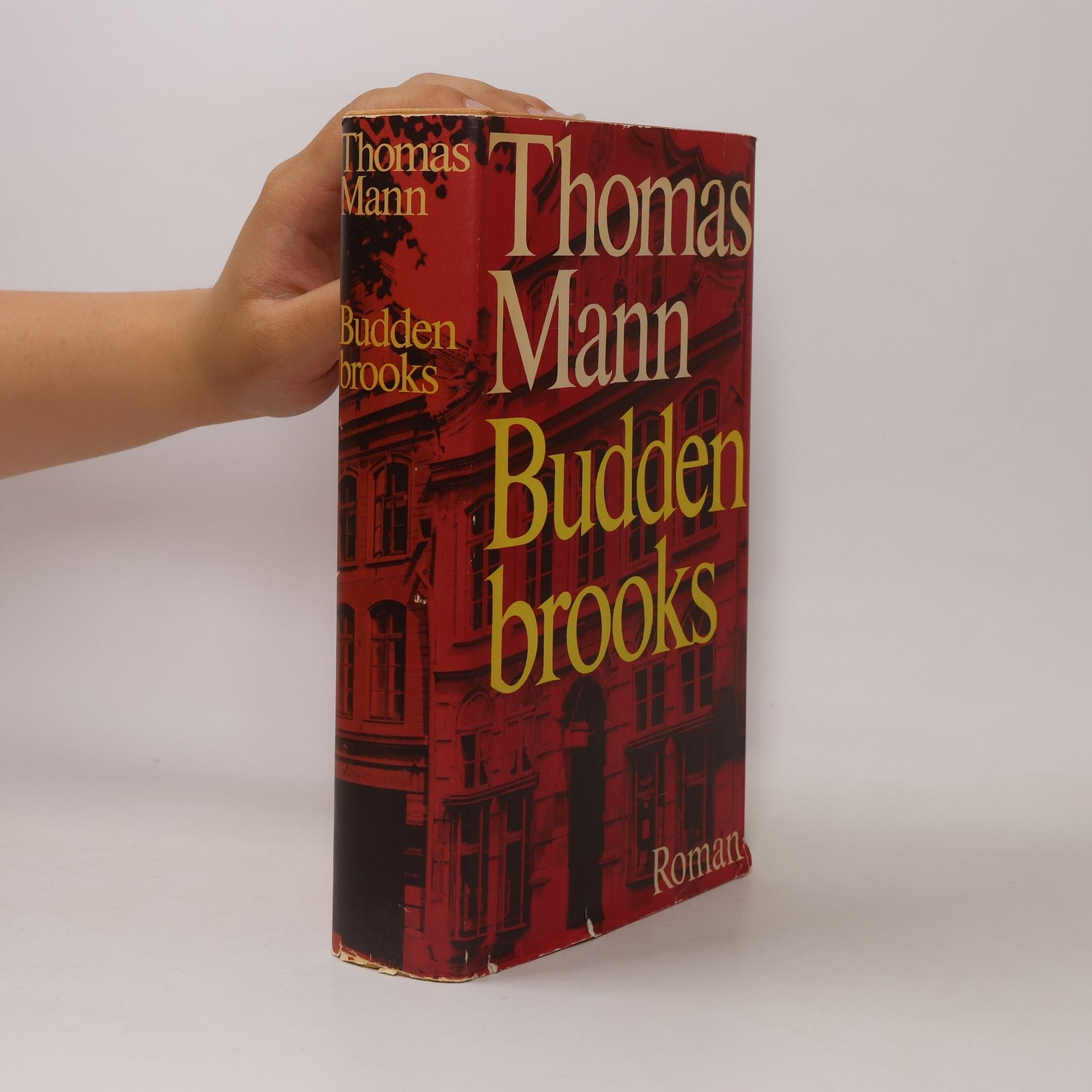 Thomas Mann Buddenbrooks