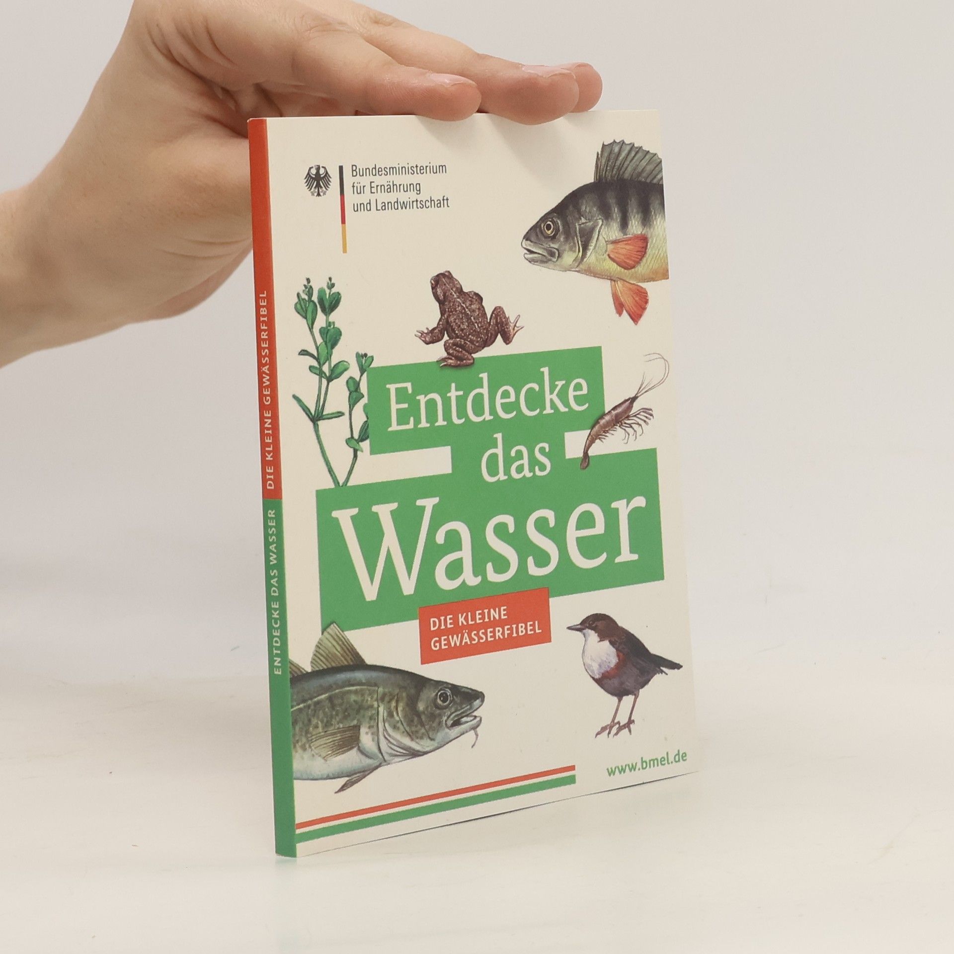 Autorenkollektiv Entdecke das Wasser