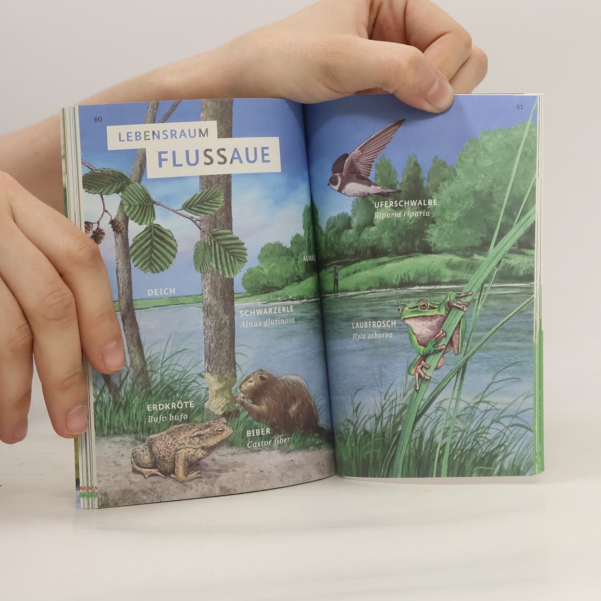 Kolektiv autorů Entdecke das Wasser