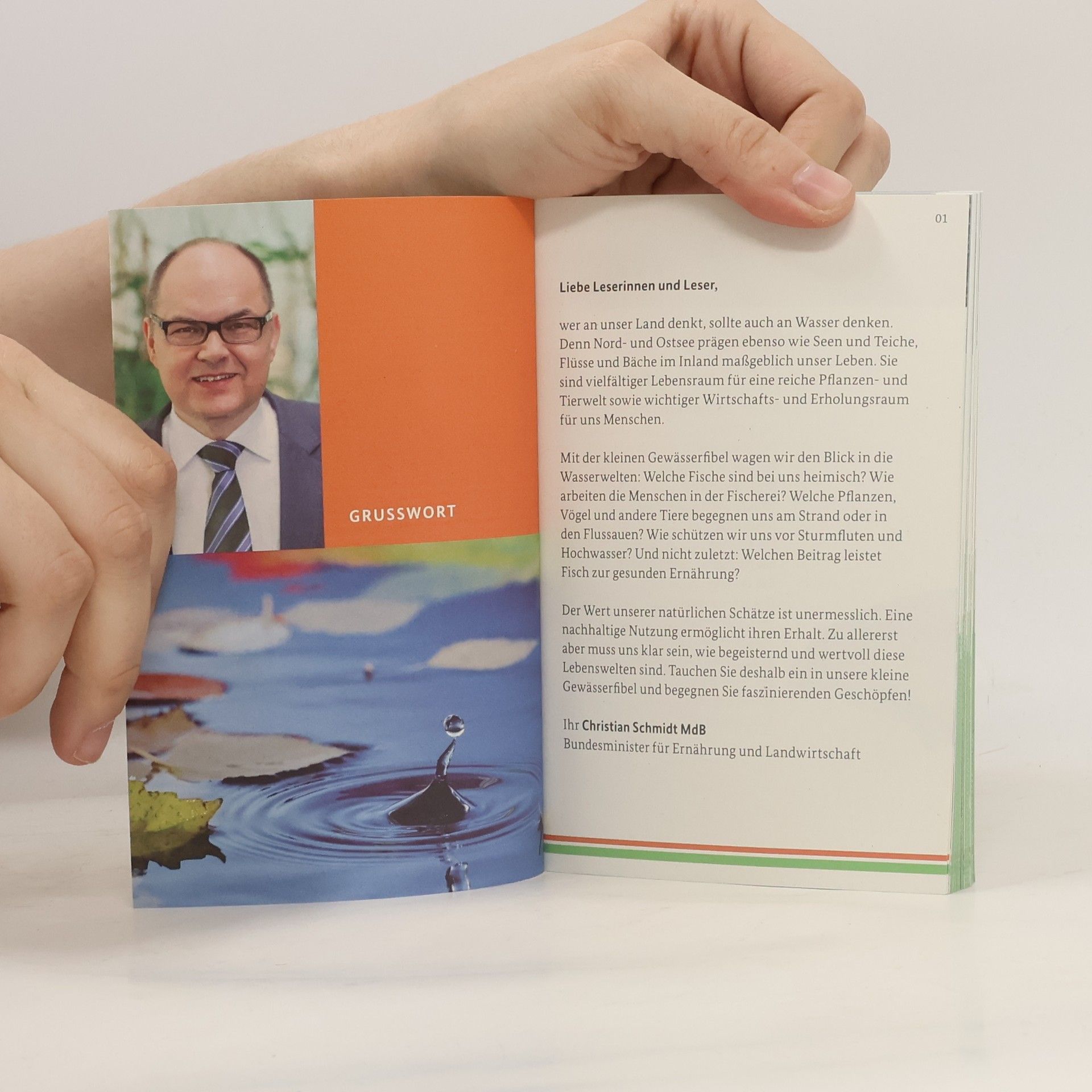 Kolektiv autorů Entdecke das Wasser